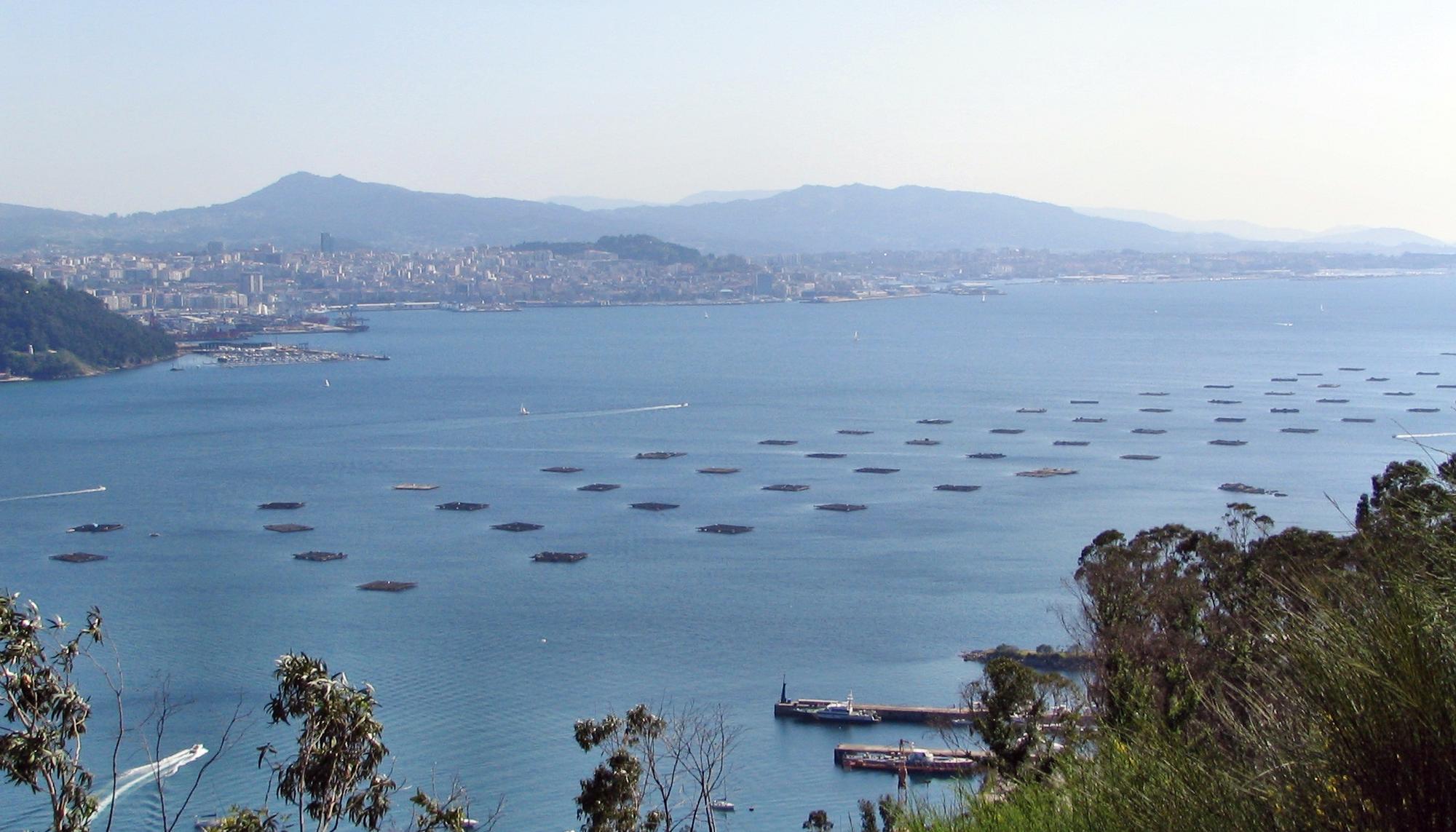 Ría de Vigo vista desde o Morrazo