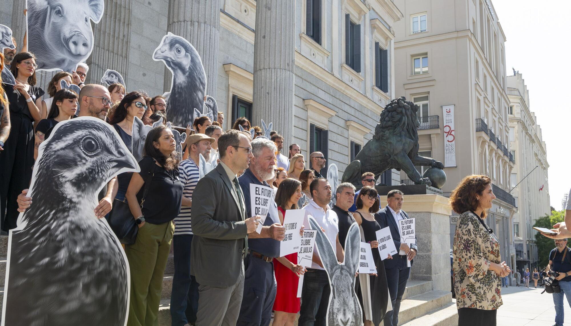 Jaulas Congreso - 3