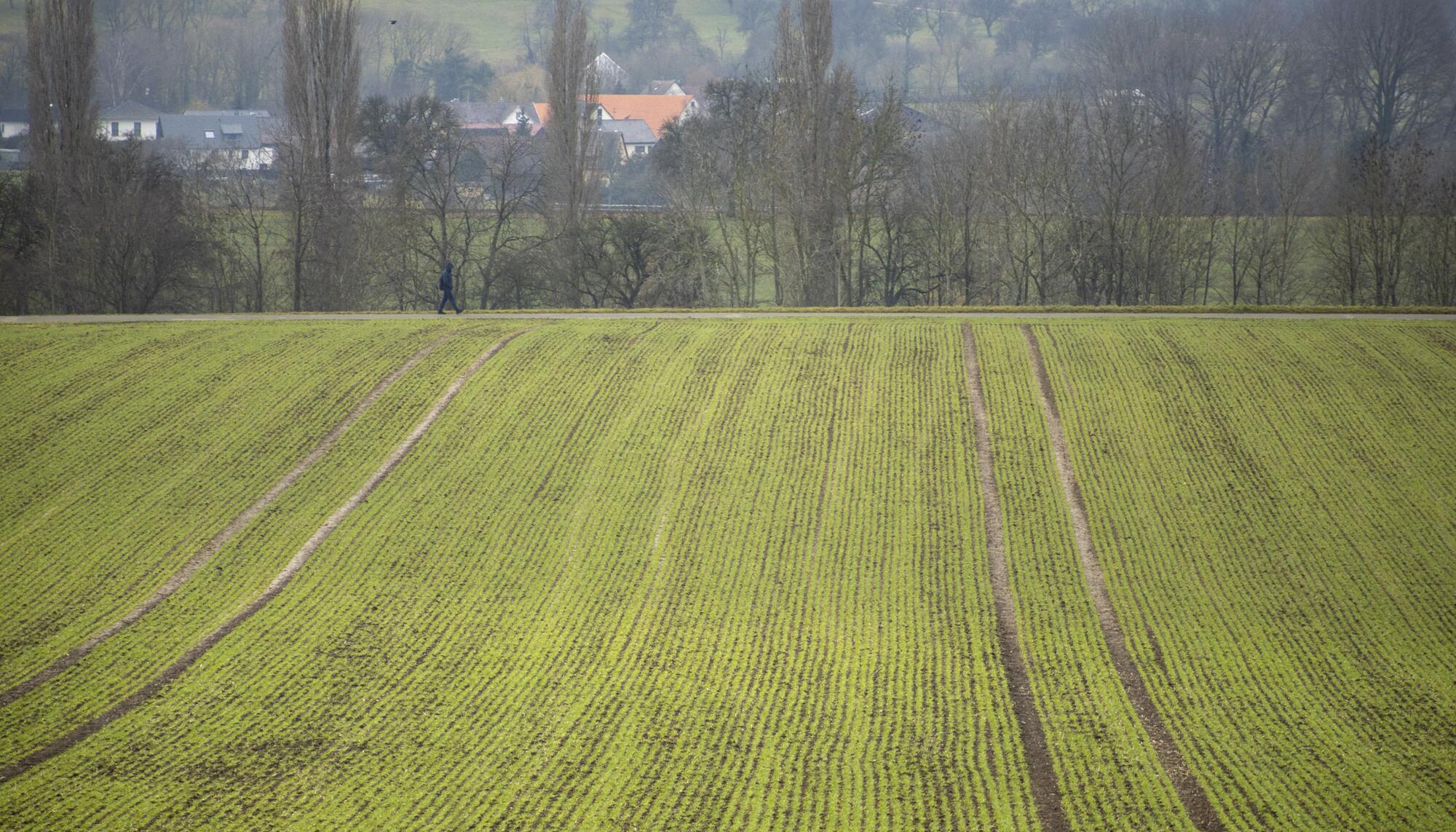 Alemania Campo Naturaleza - 1