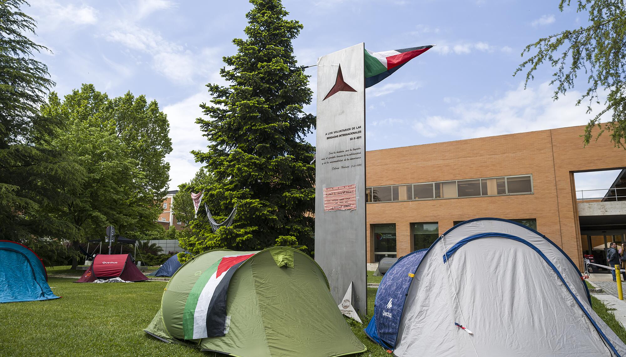 Acampada Palestina Complutense 14-05-25 - 11