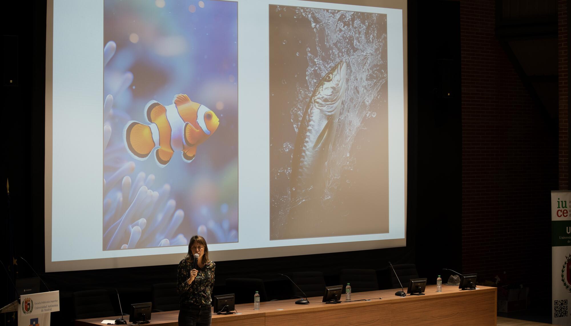 Aula Animal y Animals' View invites a docent's a introducer el respite a los animales en las auldas