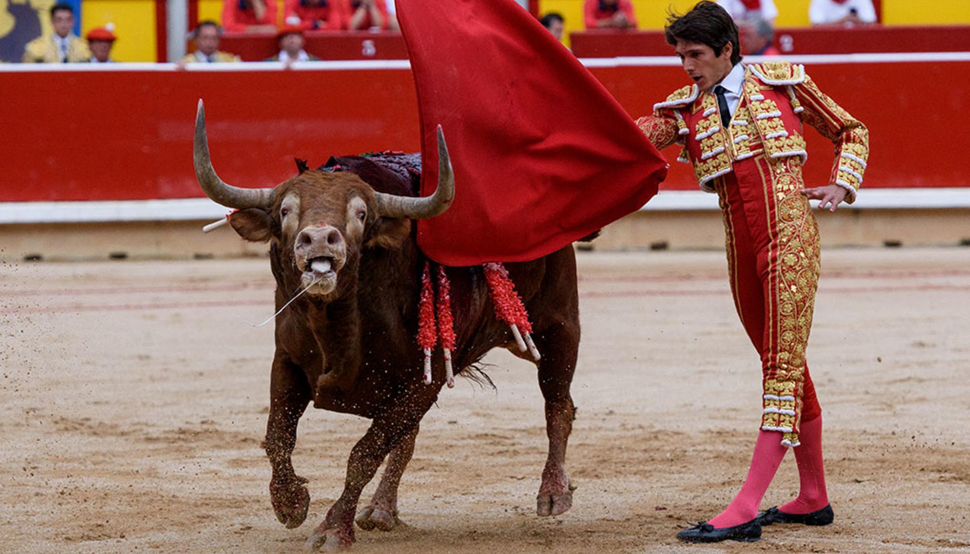 Toro herido perdiendo sangre mientras es toreado en la plaza de toros de Iruña