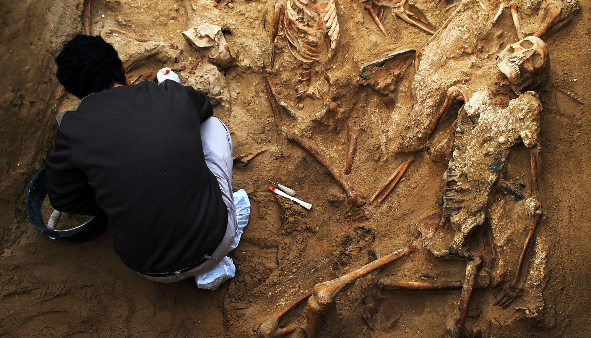 Exhumación en Puerto Real