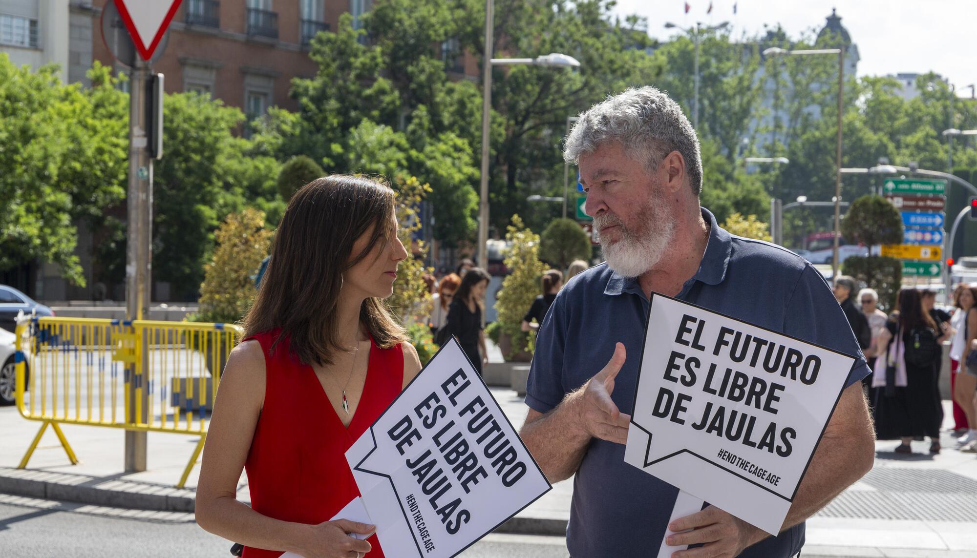 Jaulas Congreso - 1
