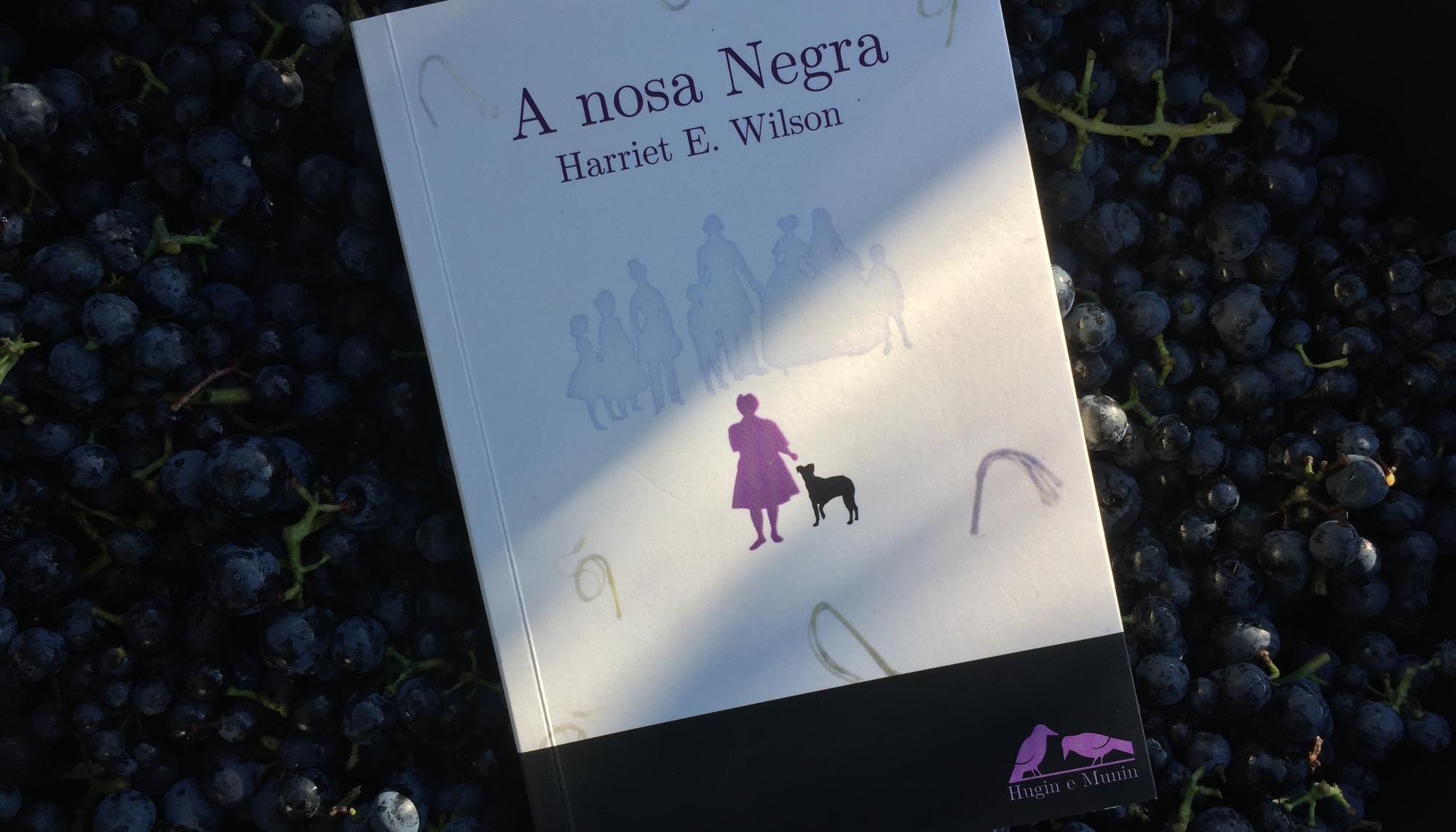 A nosa negra Harriet E. Wilson 