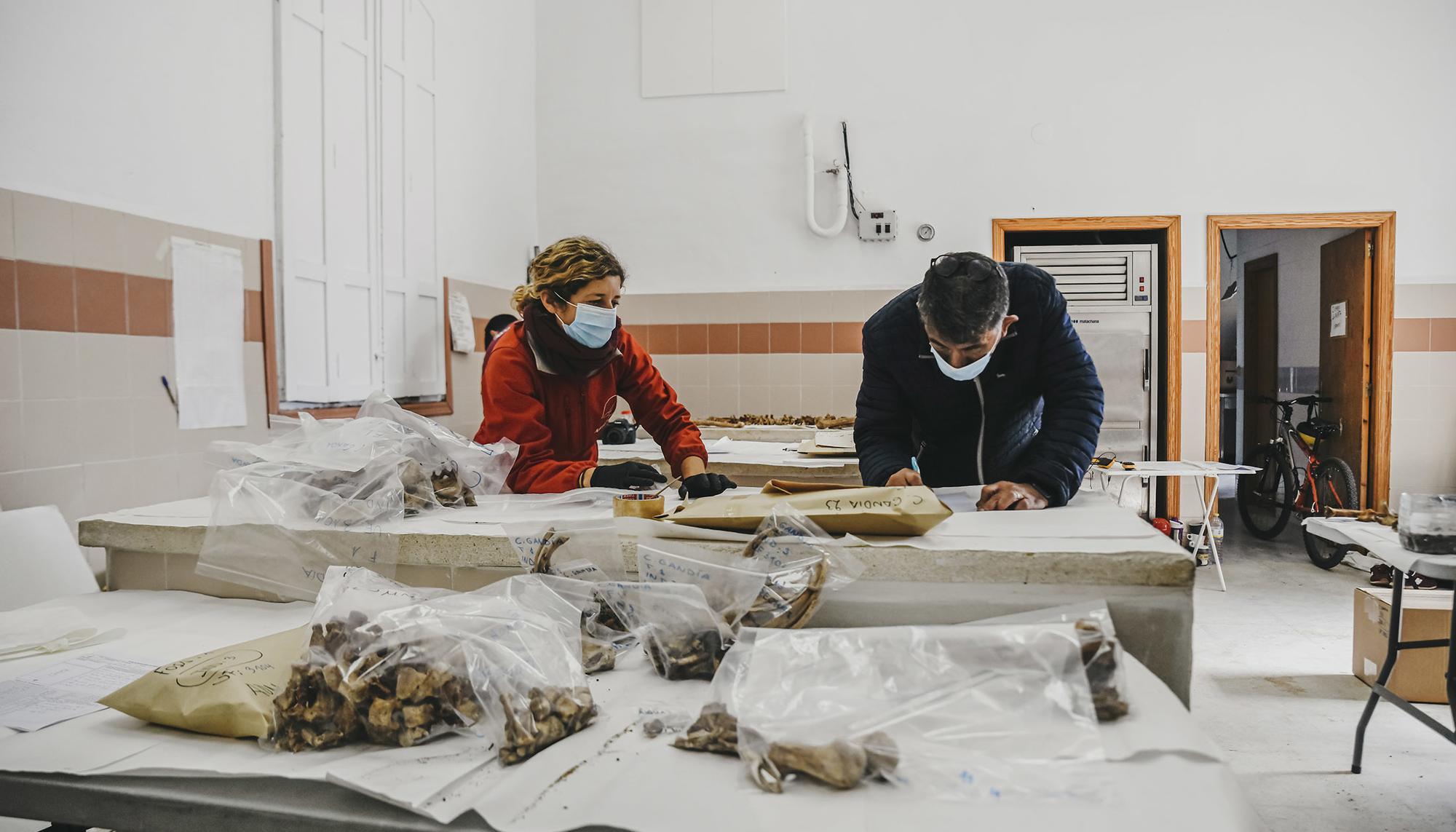 Traslado de restos óseos desde el cementerio de Gandia - 1