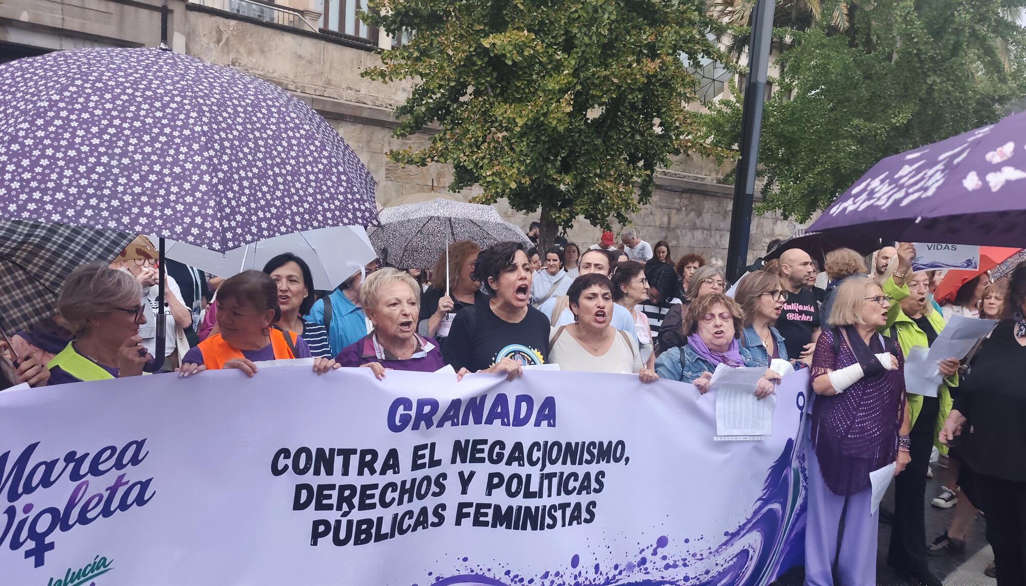 Marea Violeta Andalucía portada