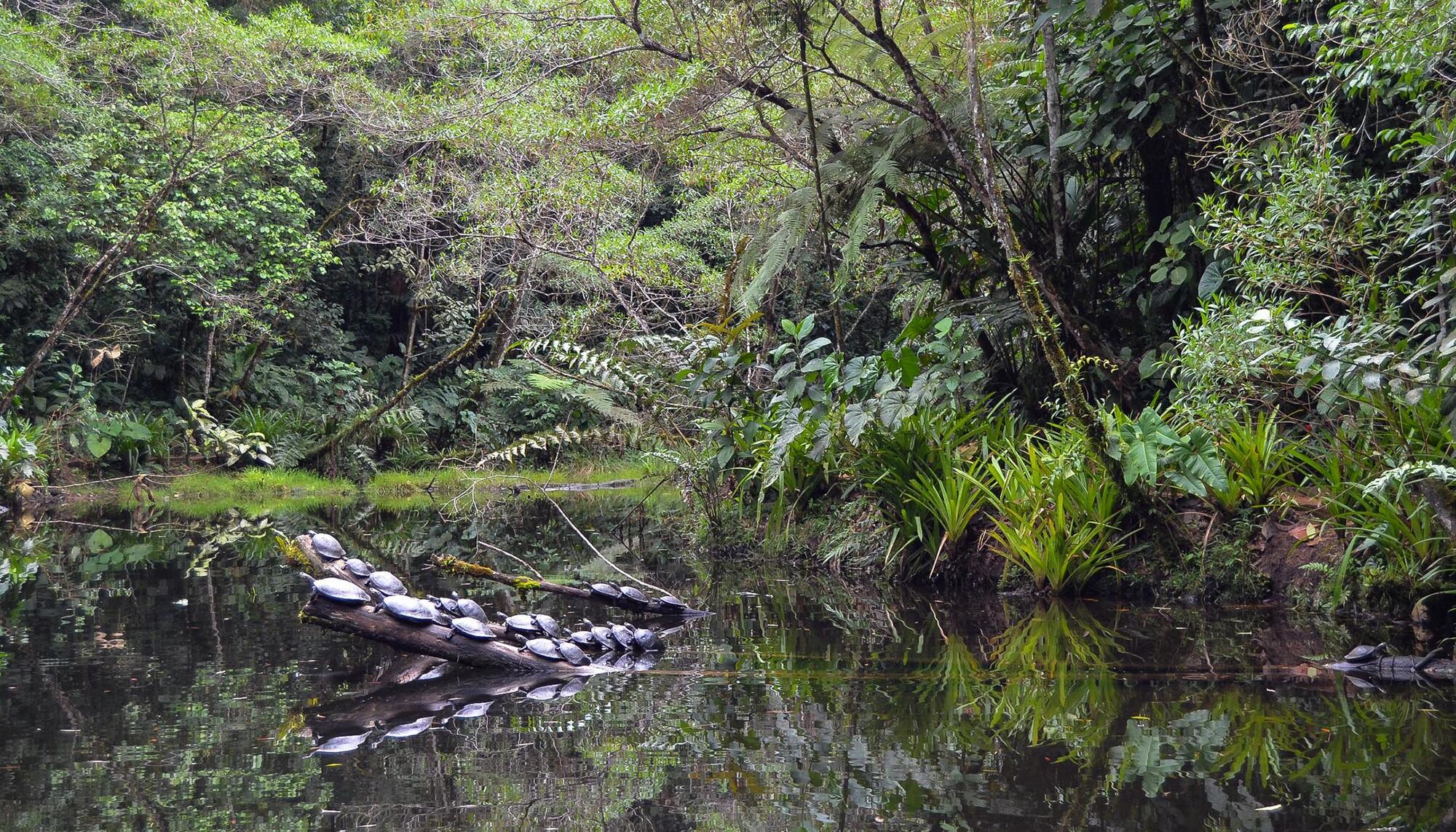 Turismo y ecología en Ecuador - 3