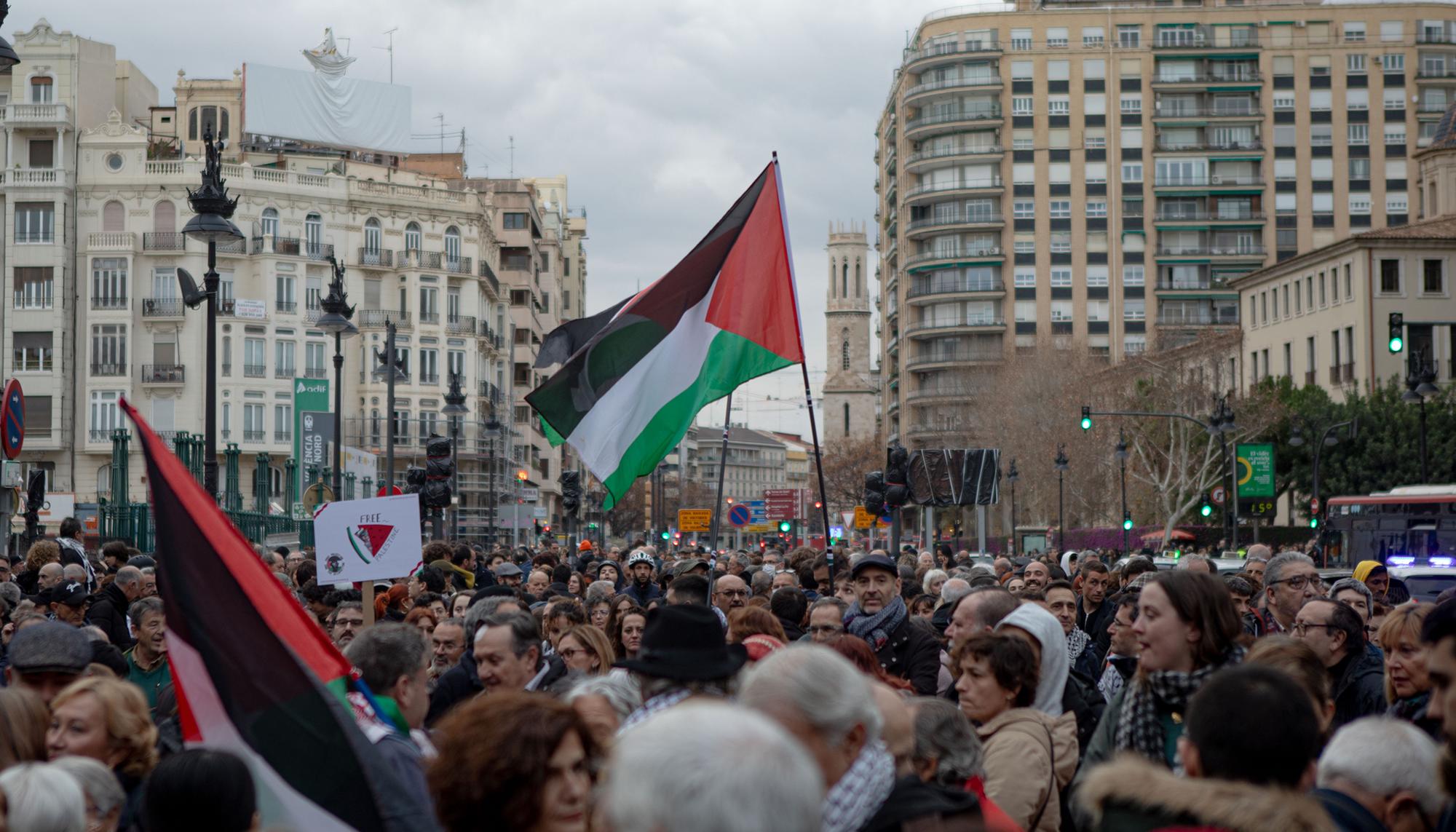 Palestina Manifestacion Valencia - 2