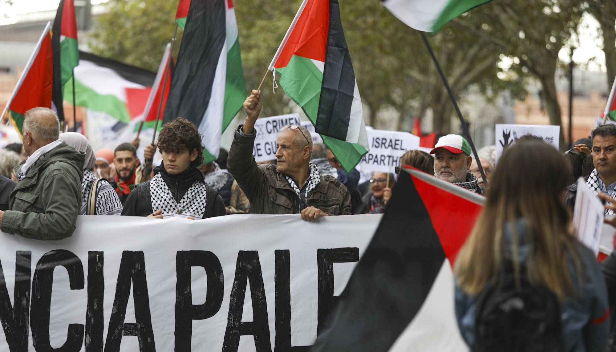 Manifestación Palestina Madrid - 1