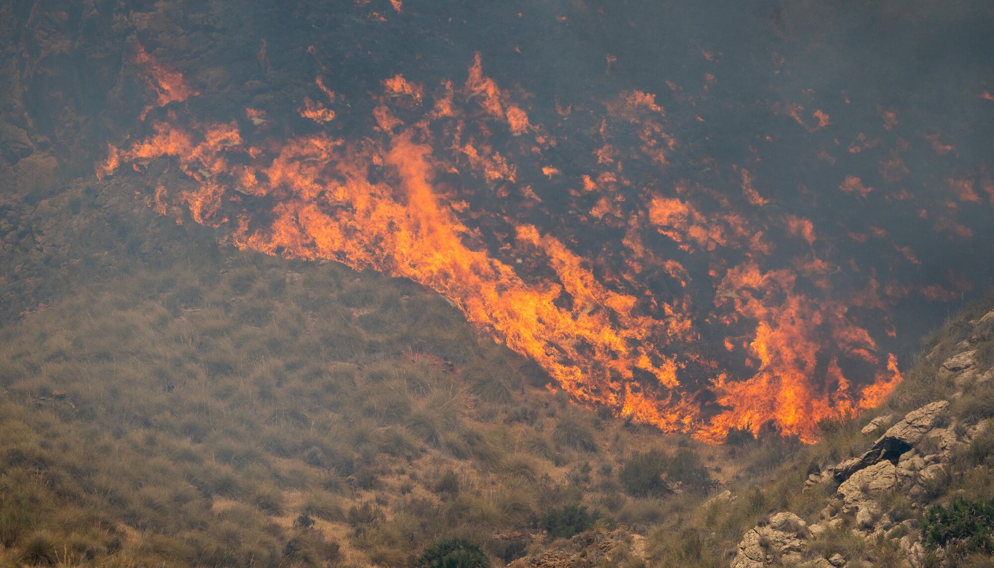 Incendio Los Gallardos