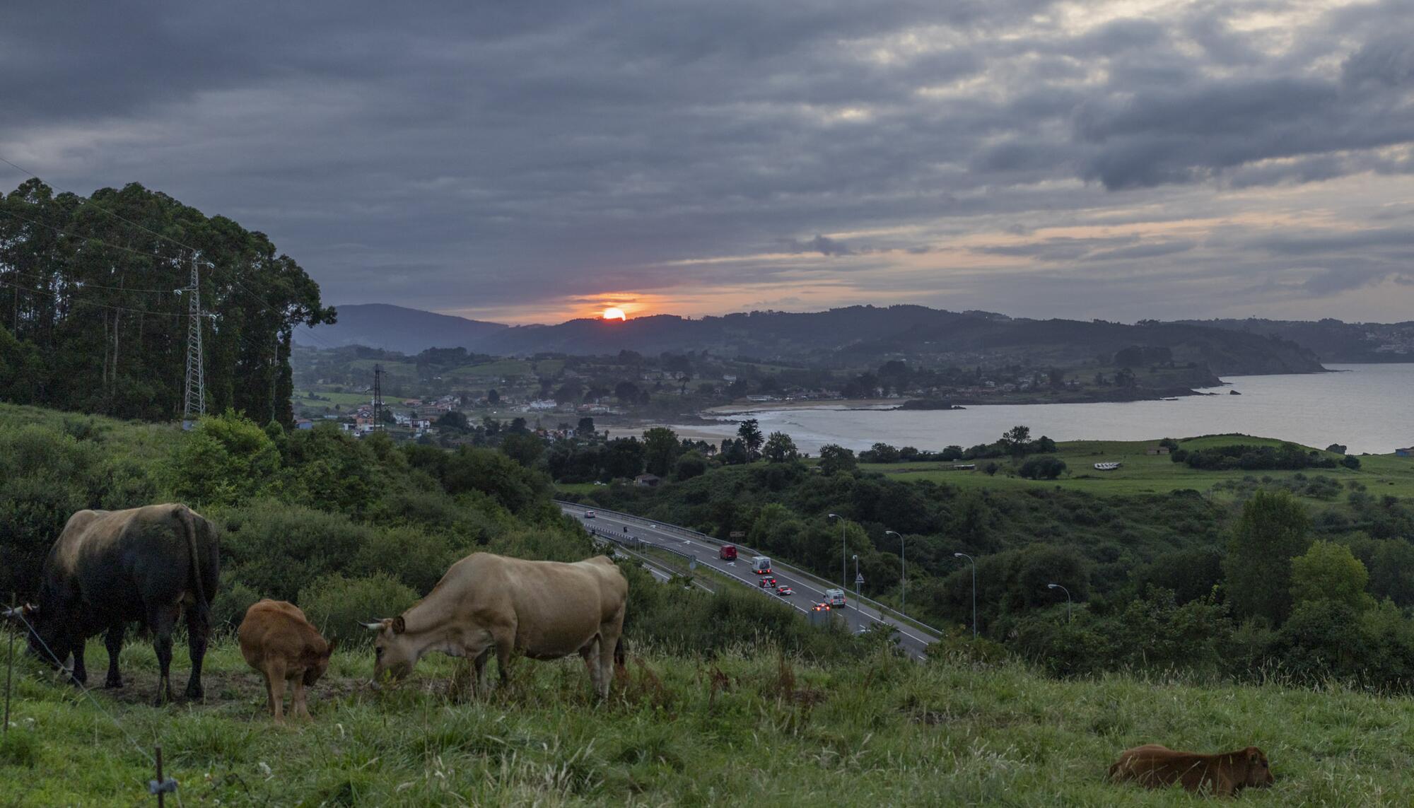 Autovia Vacas Playa Asturias