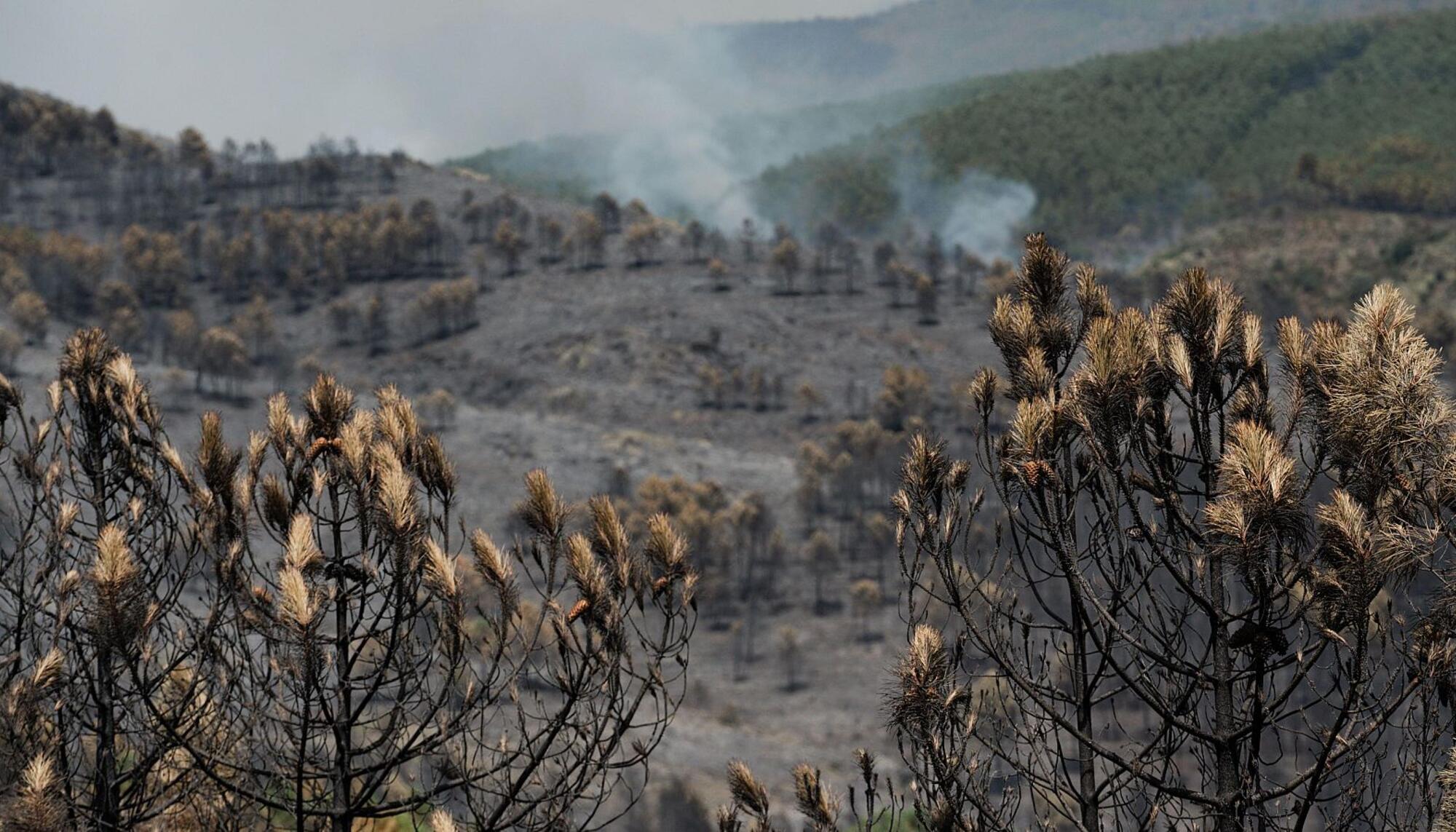 Incendio Guadalajara foto RTVE