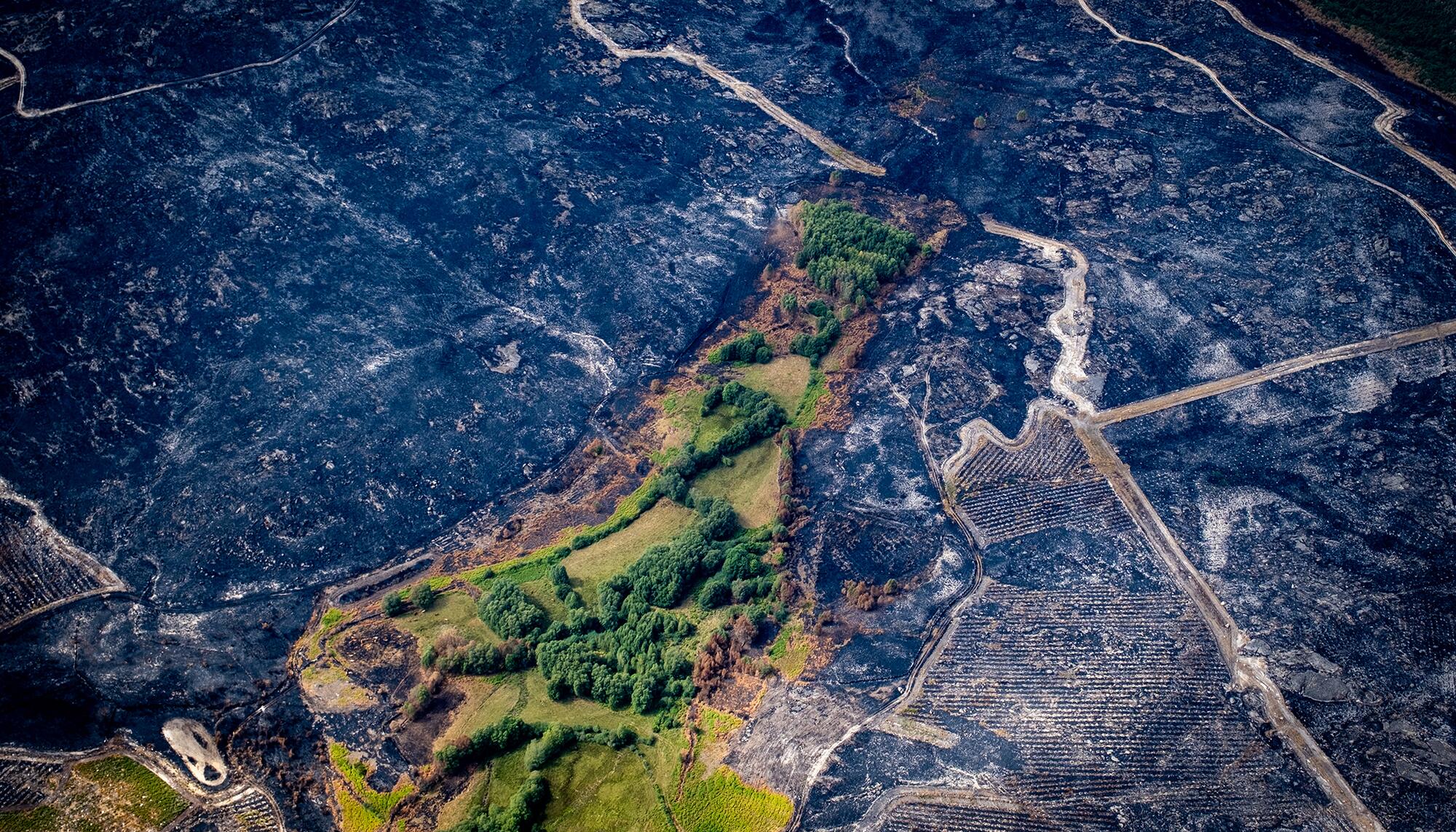 Incendios Greenpeace aereas - 9