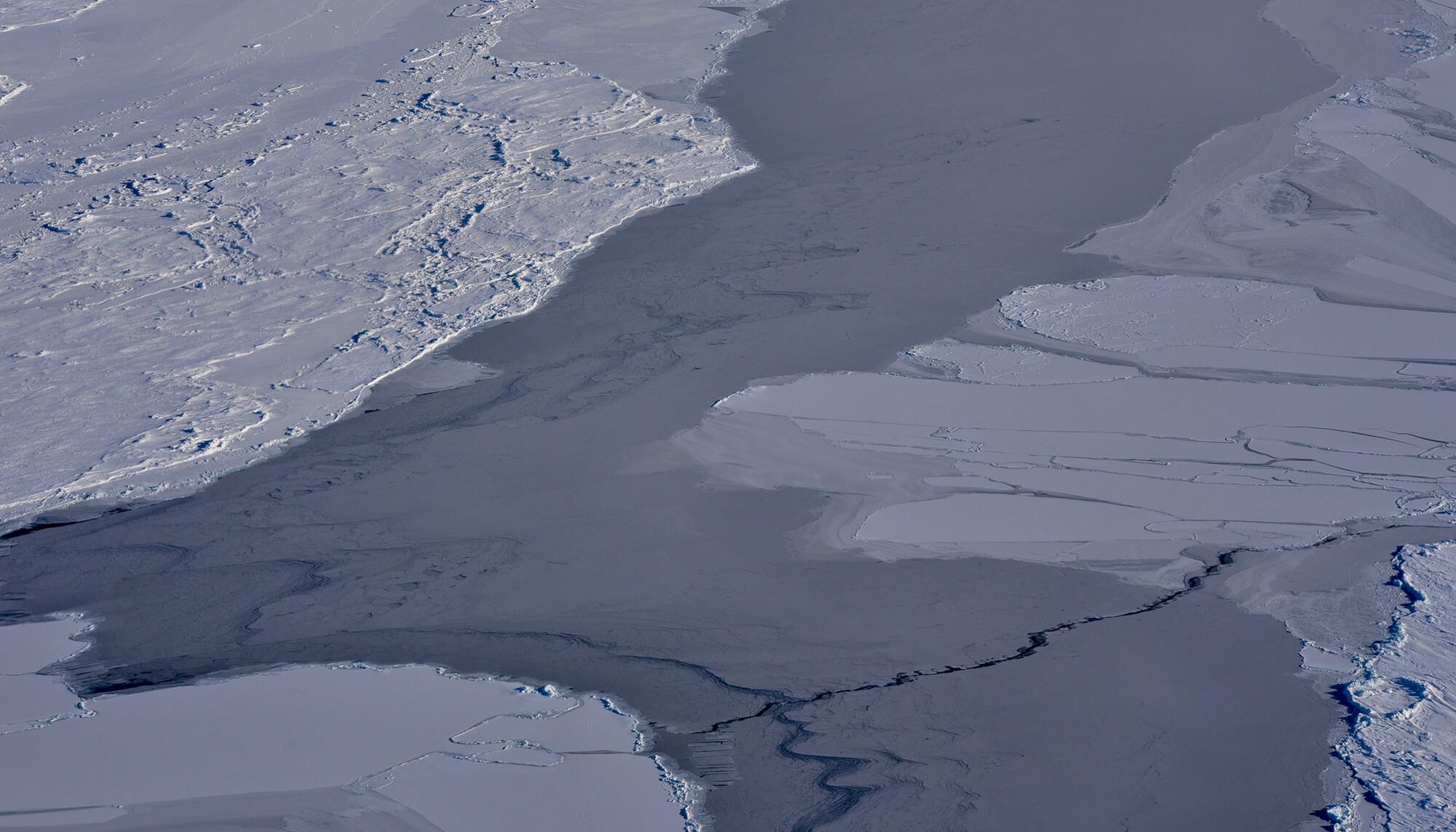 Cambios hielo marino entre Islandia Groenlandia.