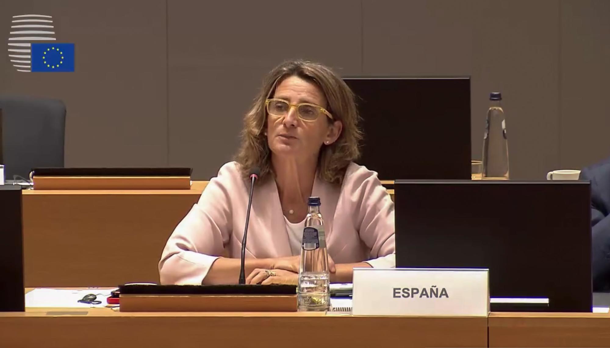 Teresa Ribera Parlamento Europeo