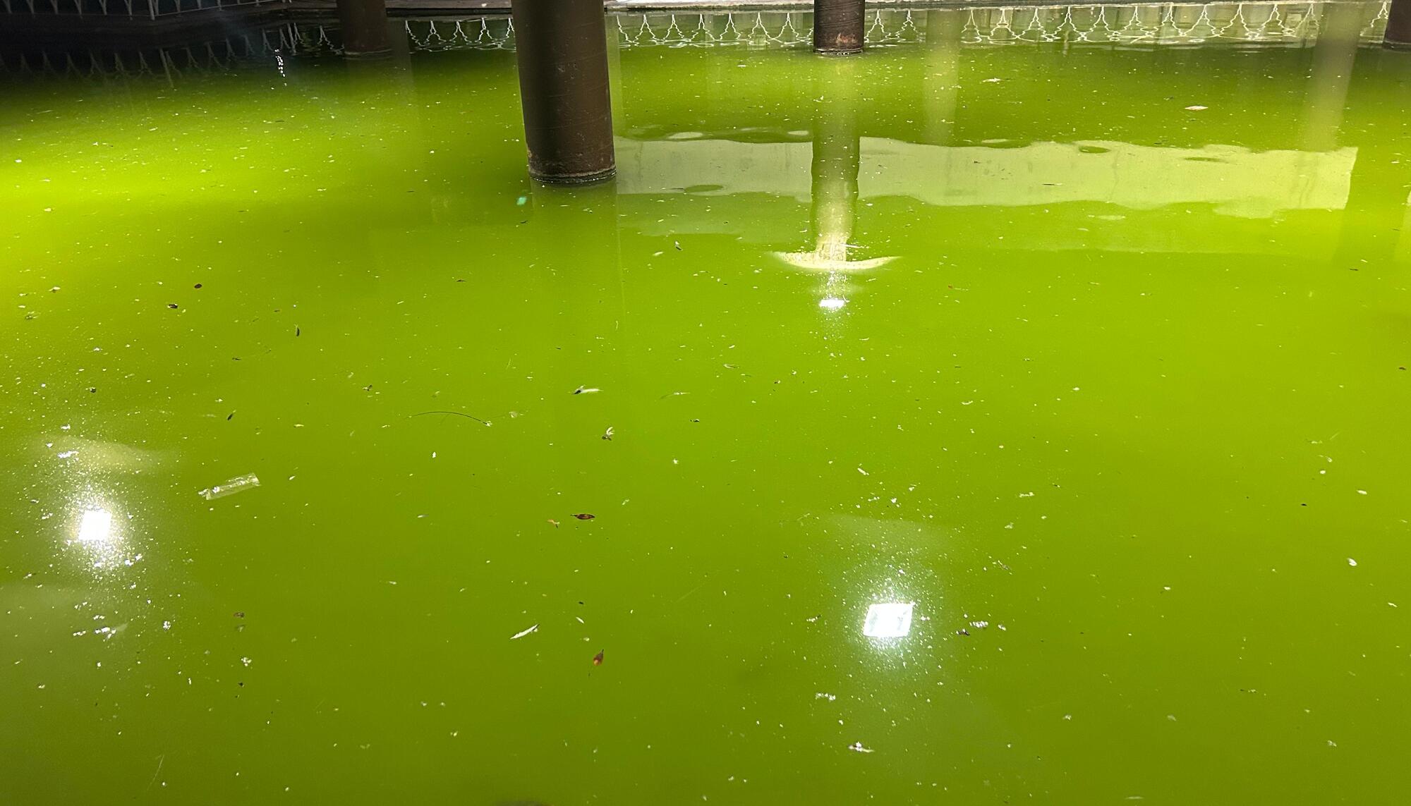Portada Contaminación Parque Oeste