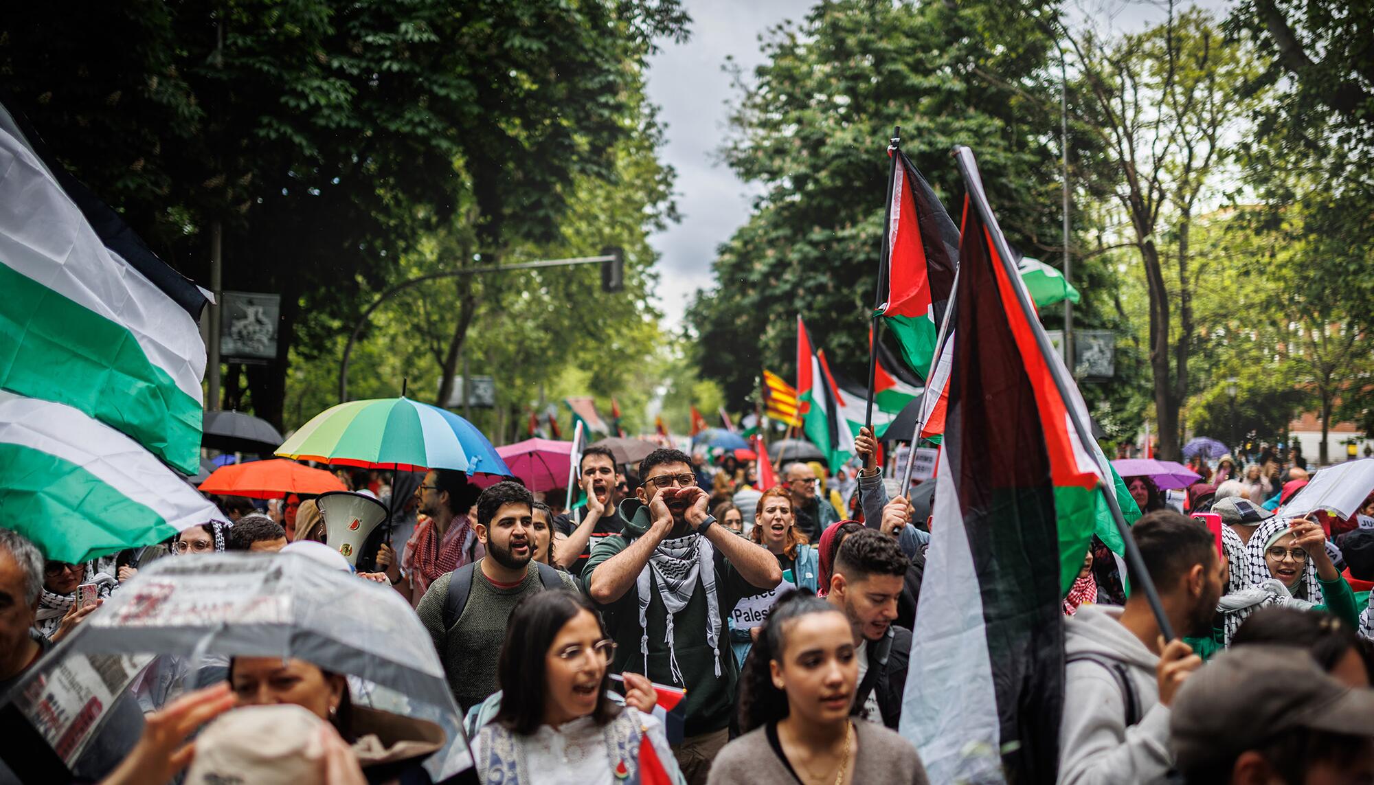 Manifestación Palestina Madrid 10-05-25