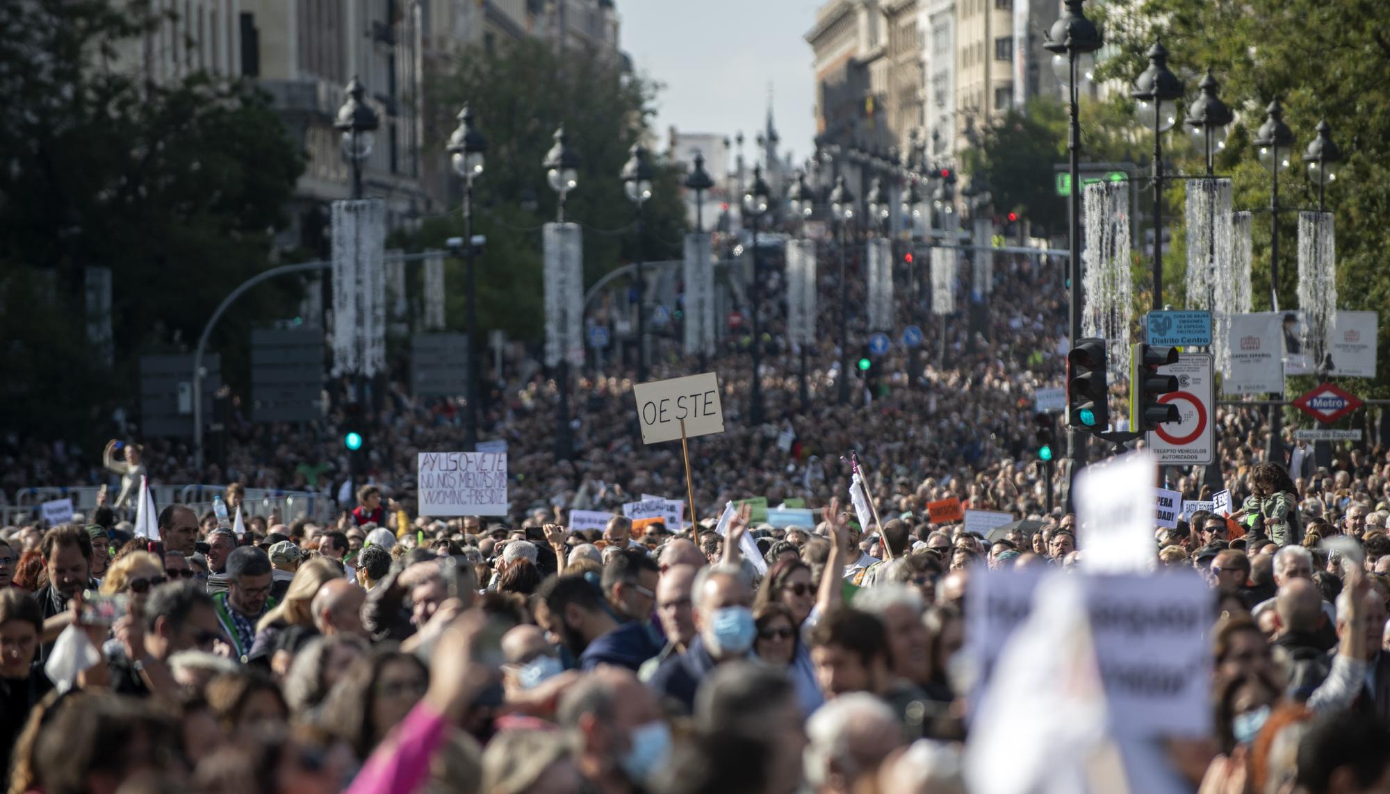 Manifestación por la Sanidad Pública en Madrid - 19