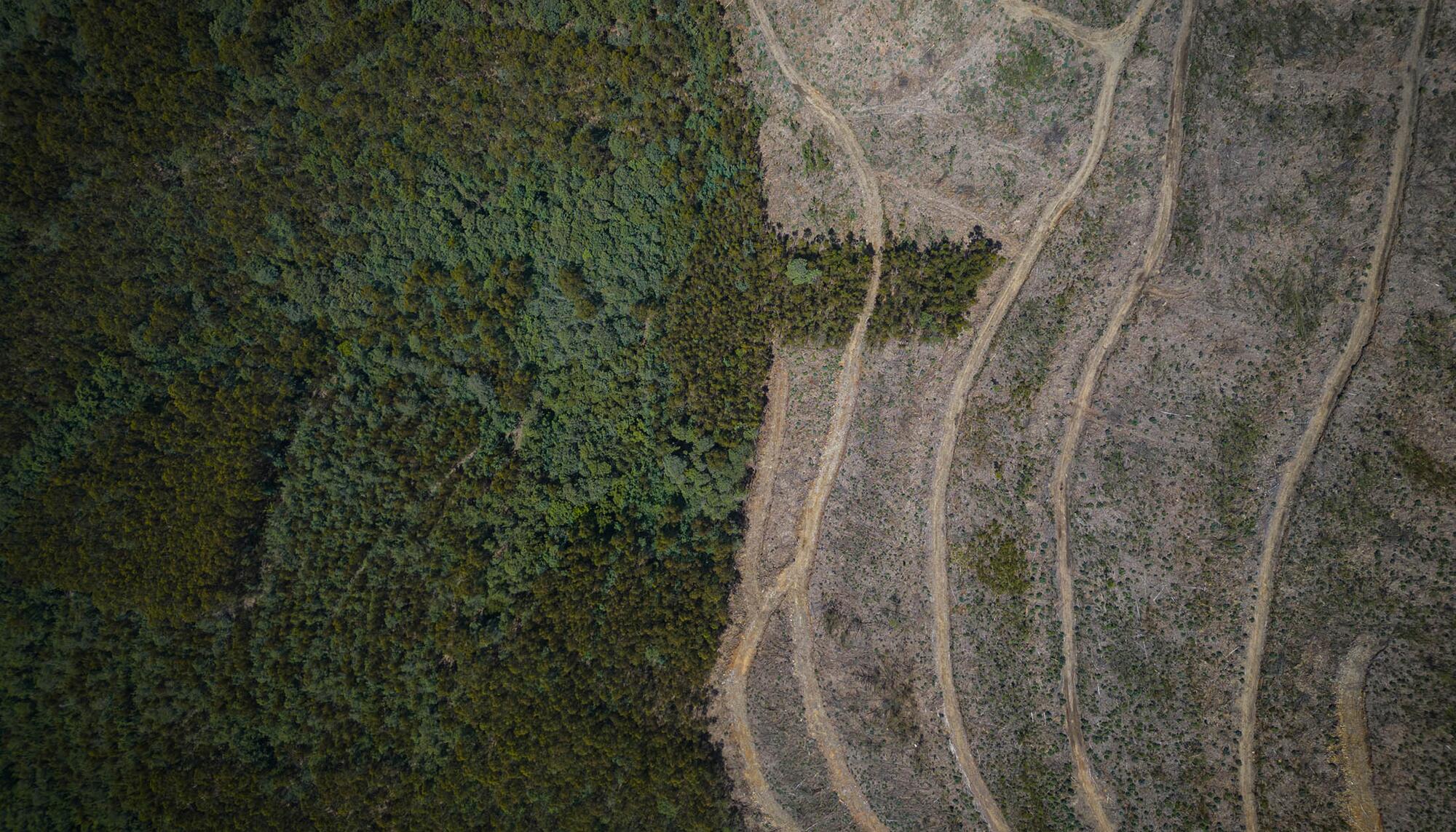 Red Natura 2000 serra lousa 2