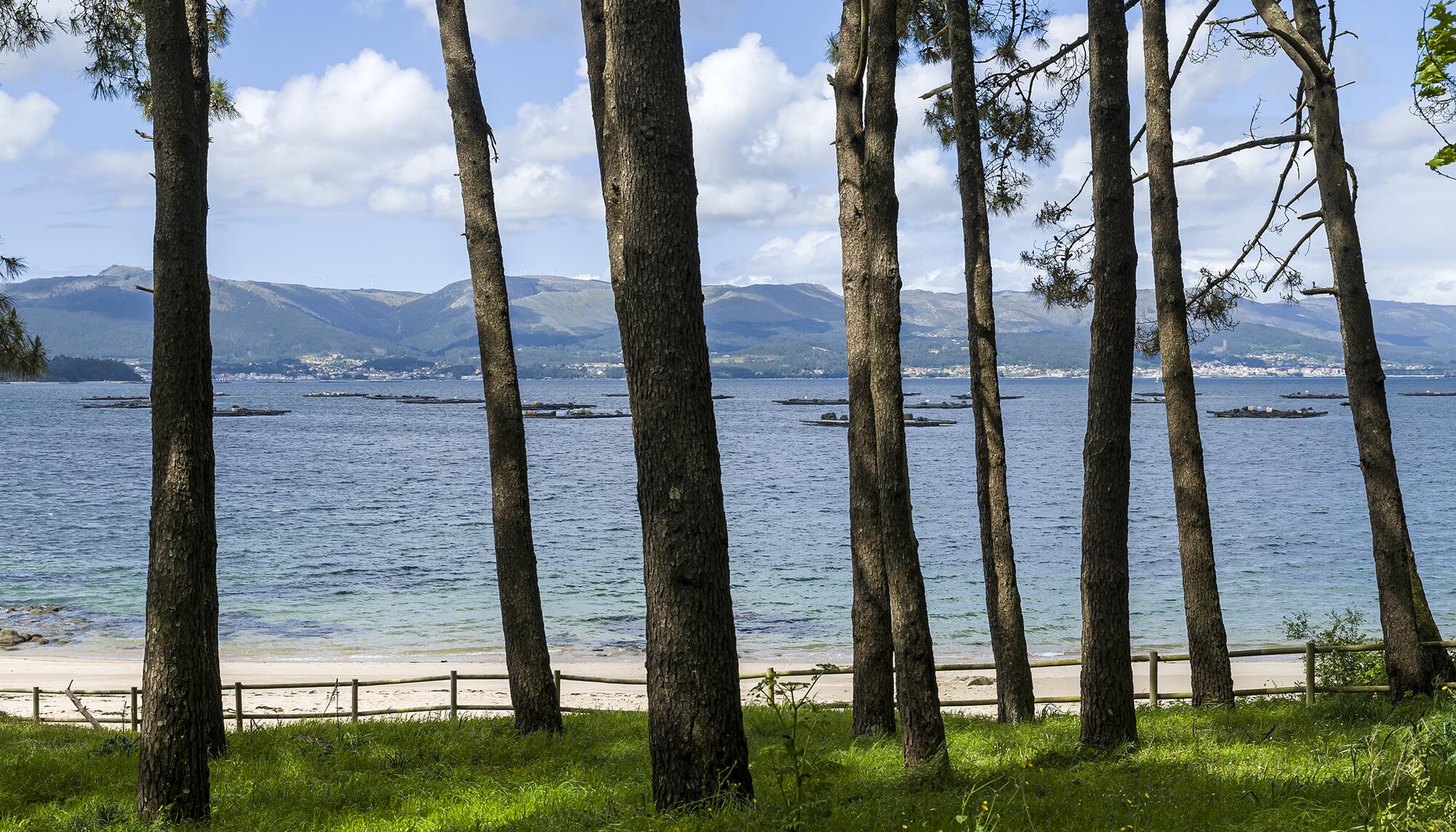 Galicia Abril 25 - 11