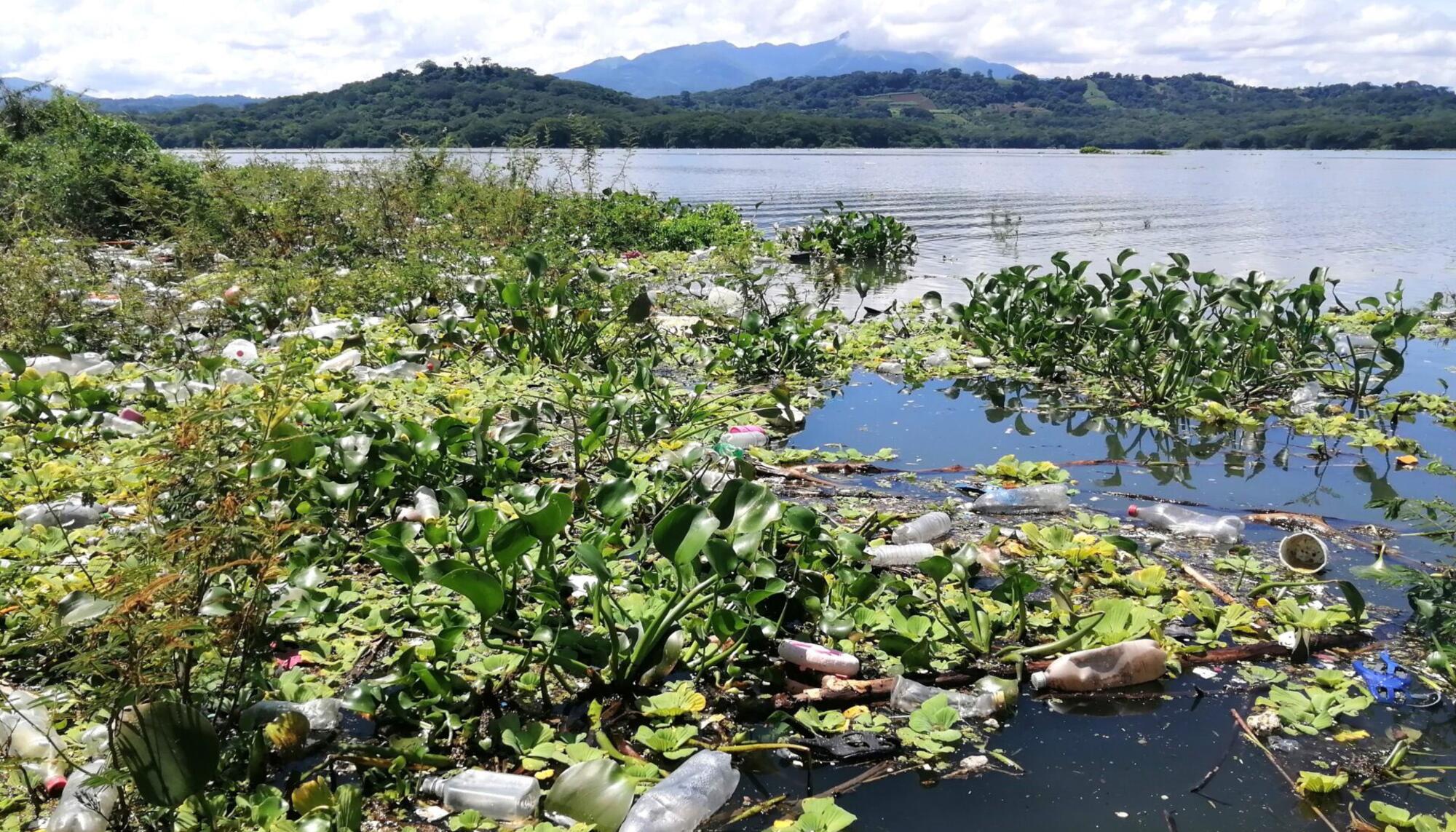 Manglares Rio Lempa 2