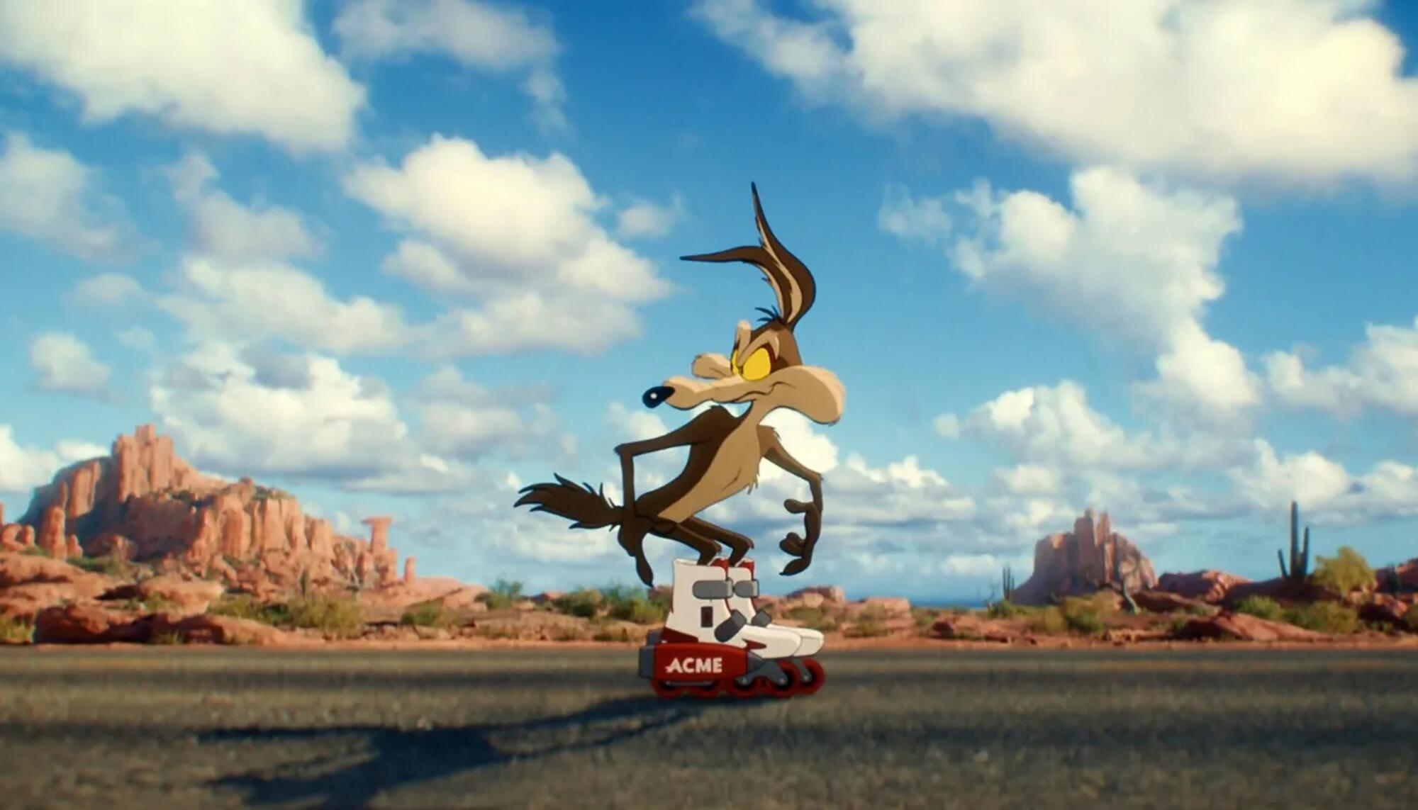 Coyote Vs ACME