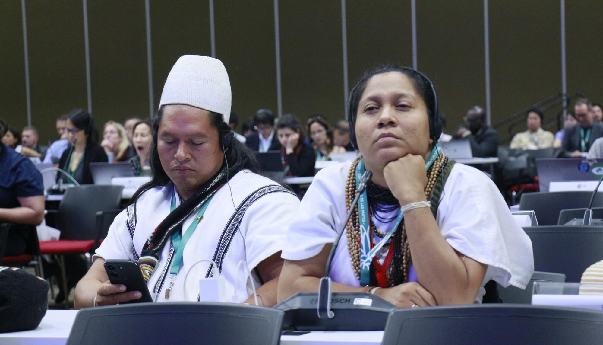 Participantes en la COP16 que se está celebrando en Cali, Colombia