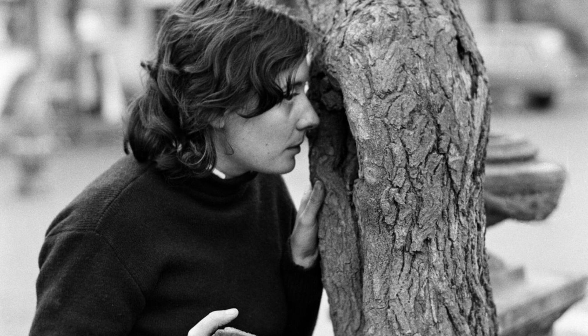  ‘L'arbre’, de Fina Miralles
