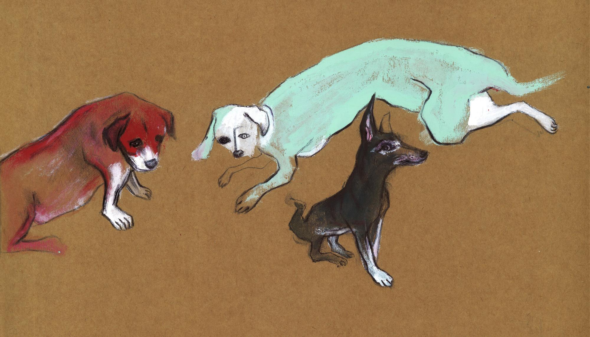 Tres cans ilustración
