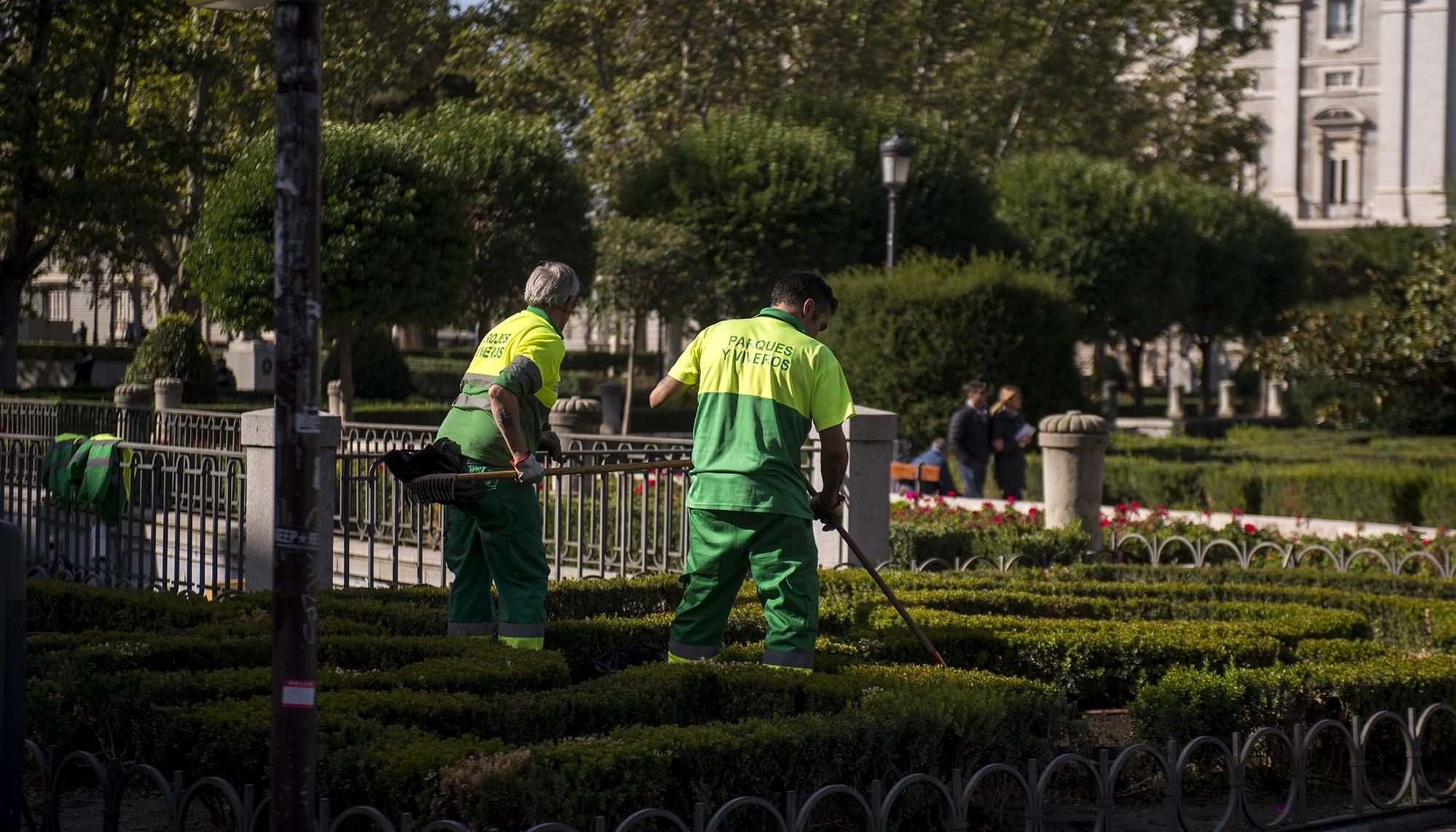 Jardineros frente al Palacio Real en Madrid