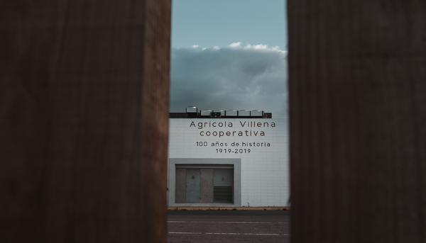 agricola villena mercadona 3
