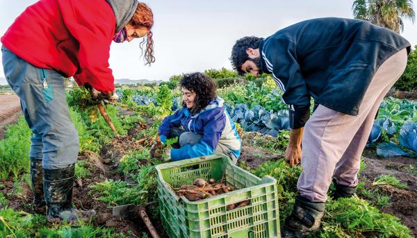 Agricultura joven en País Valencià