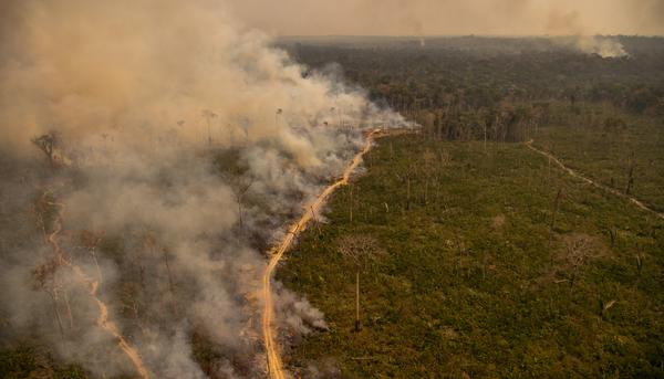 Incendios Amazonía 2020.