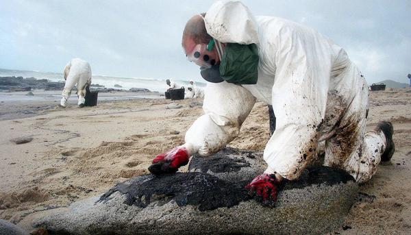Voluntarios limpian chapapote en la costa gallega procedente del Prestige
