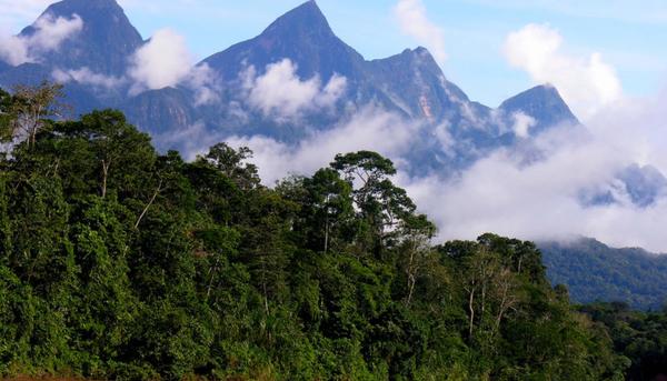 amazonas_peruano