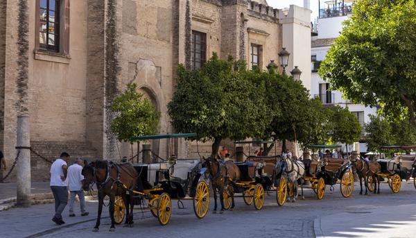 Sevilla carruajes caballos