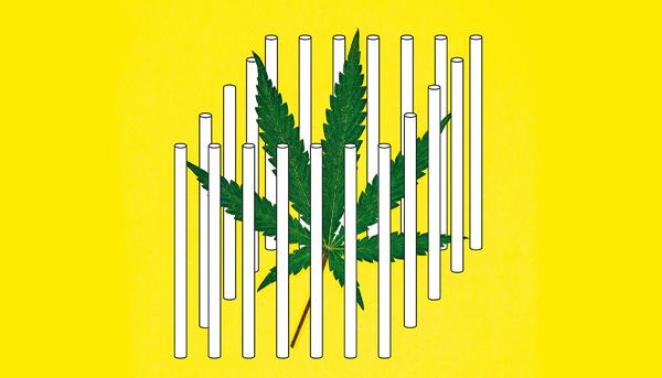 panorama 41 cannabis carcel horizontal