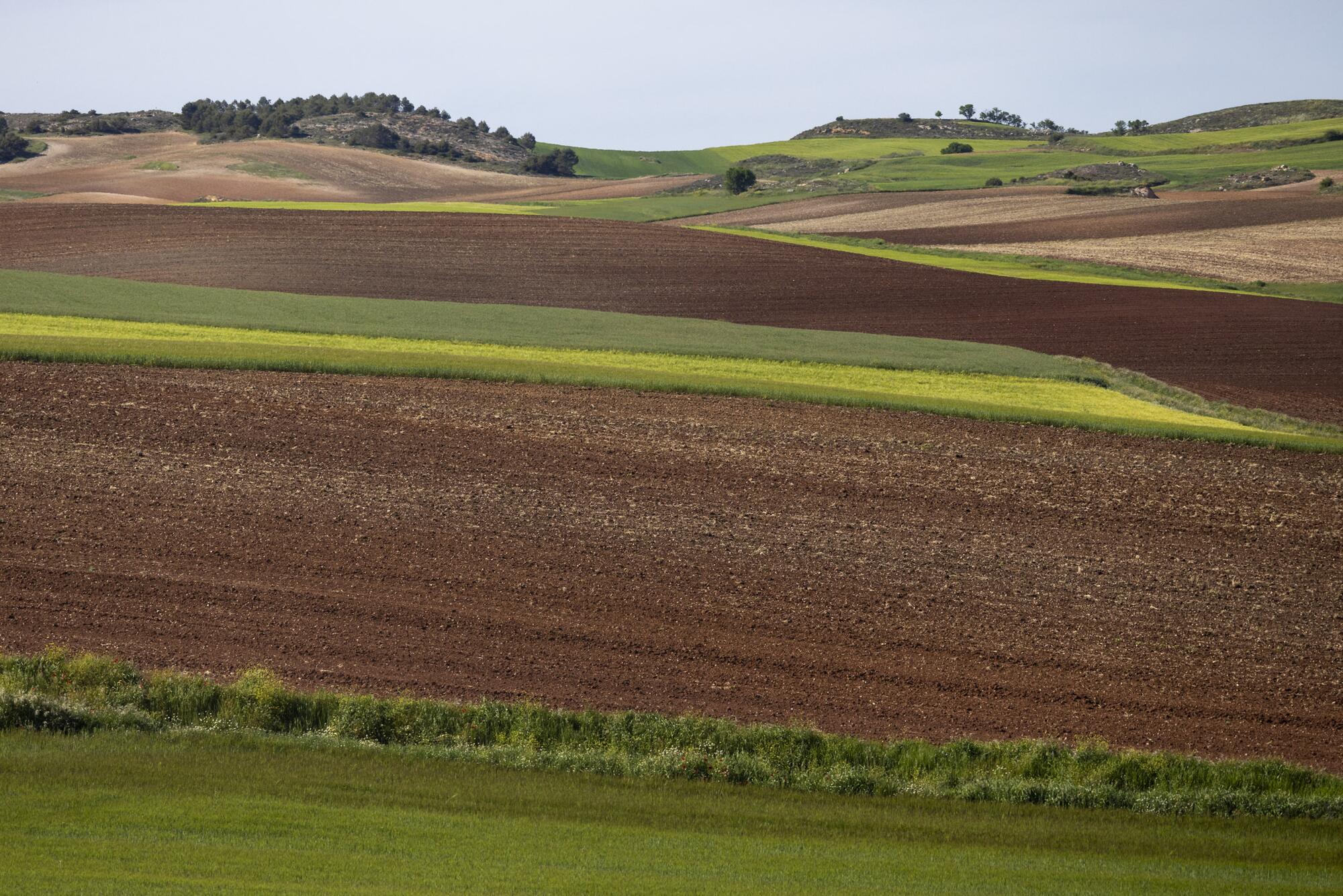 Varios autovía A3 - 5 Campos cultivo