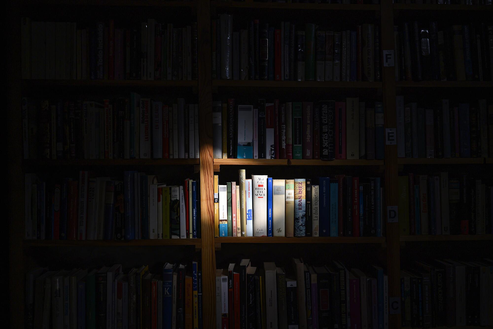 Quintanalara biblioteca - 7