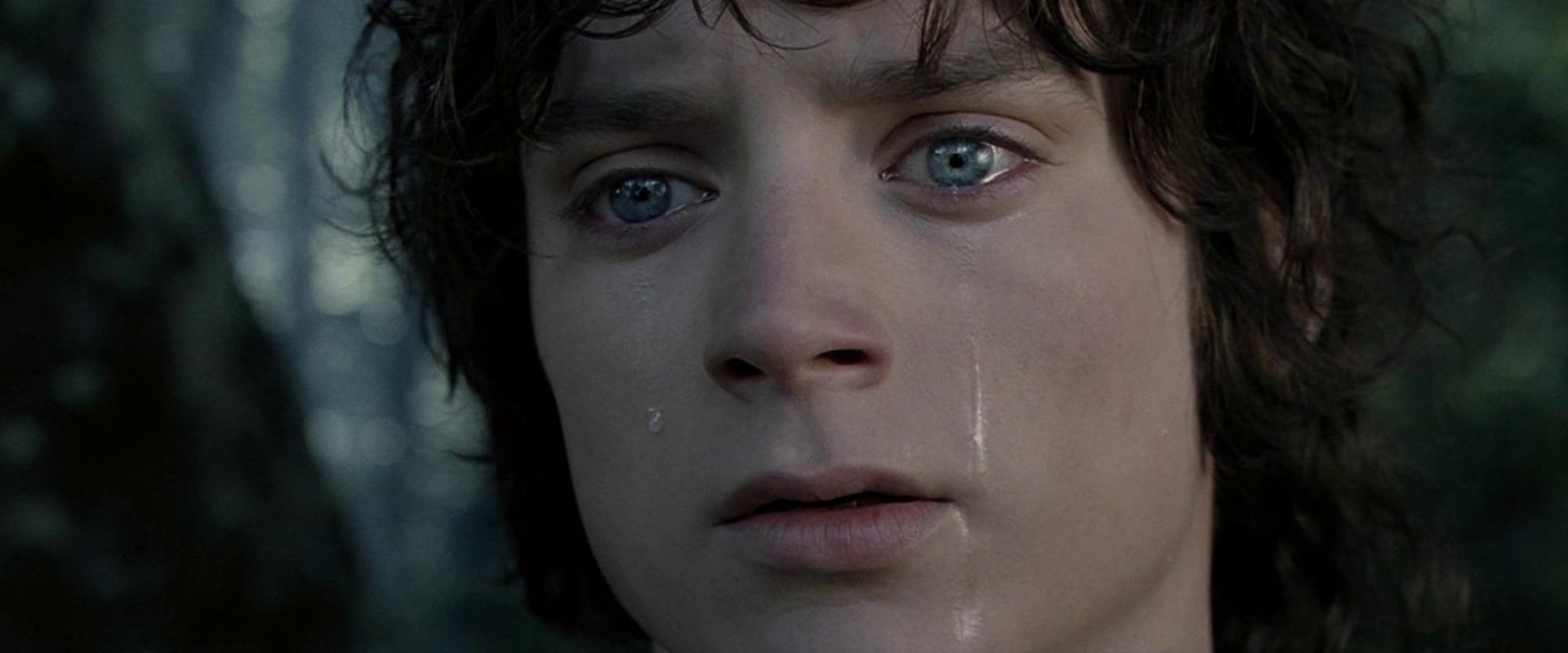 Frodo 2