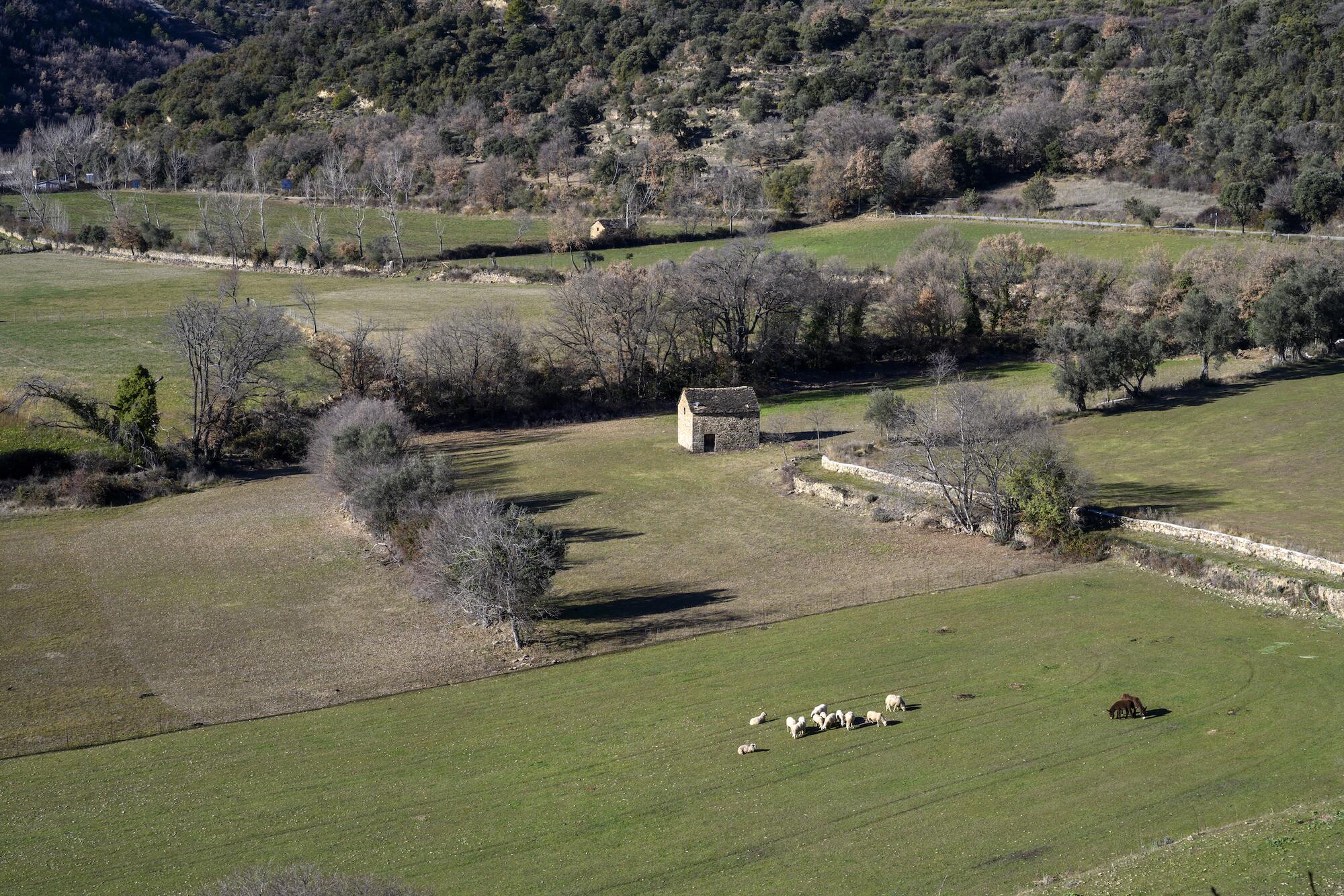 Huesca Pirineo rural - 11