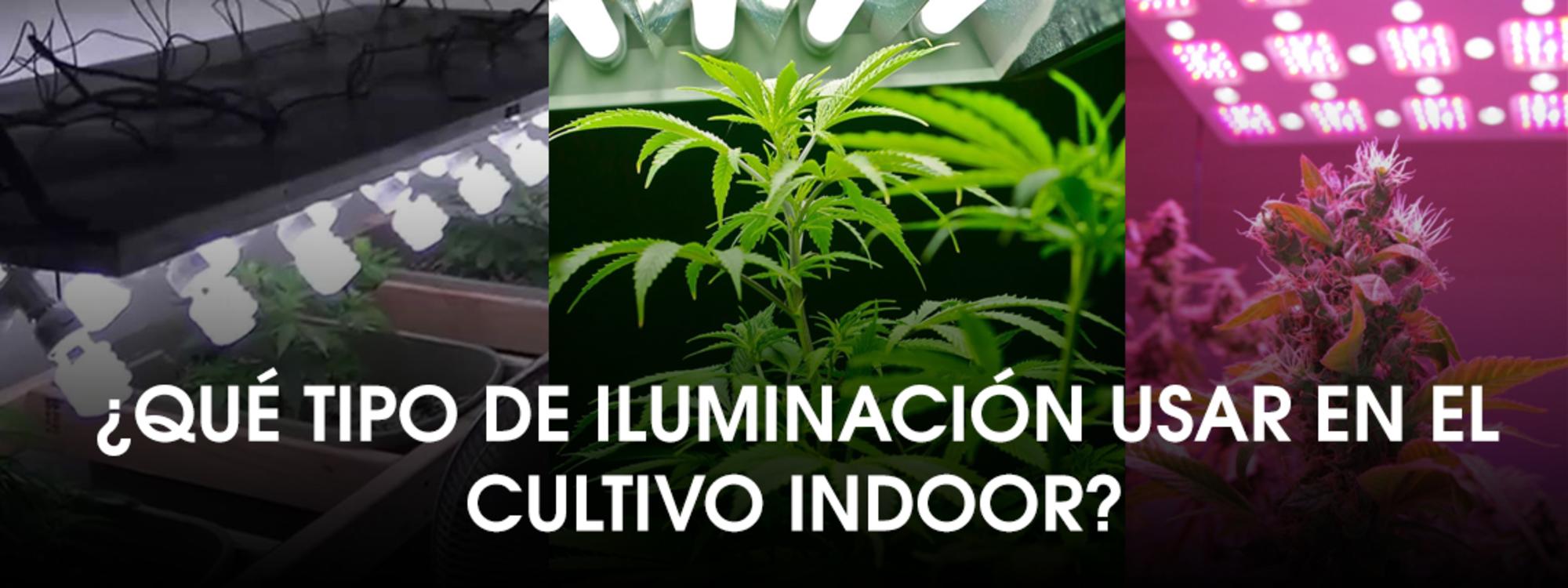 iluminacion indoor