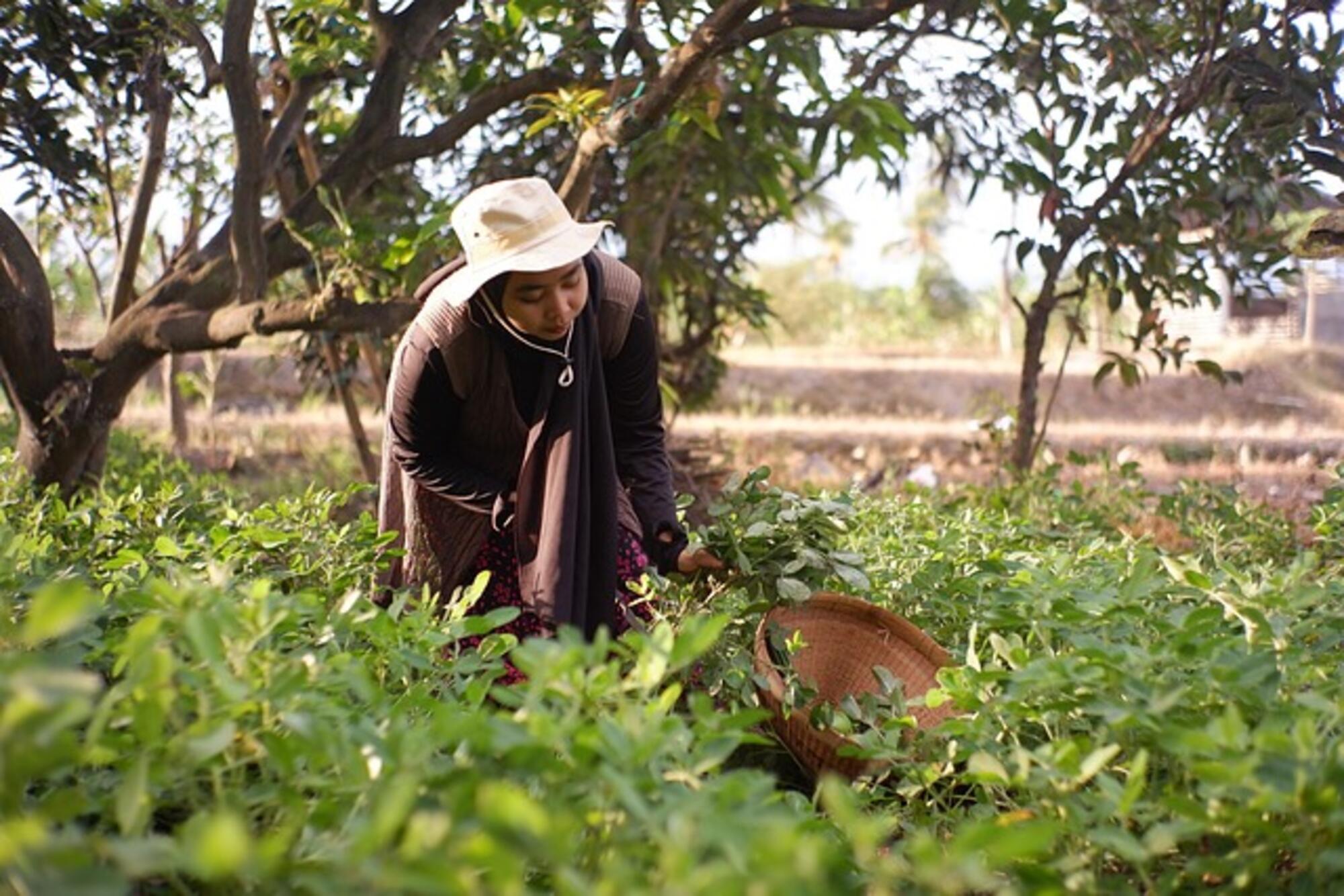 Mujer campesina