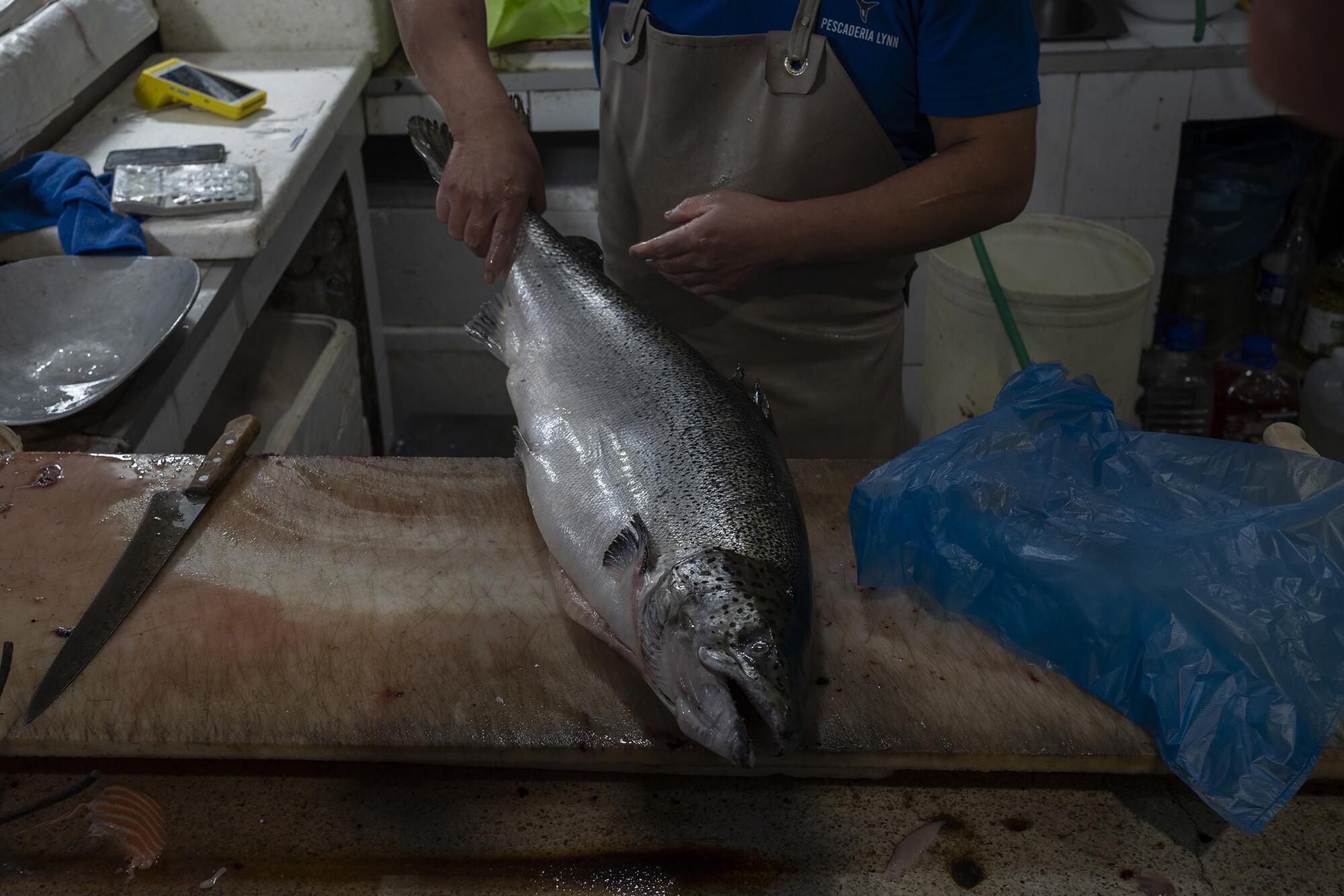 Salmoneras Chile  - 3