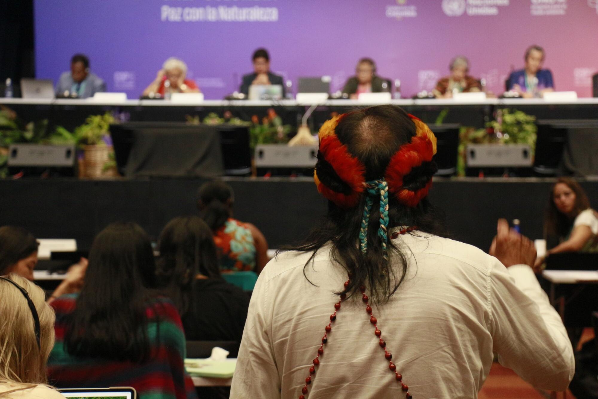 COP16 NATURE SUMMIT