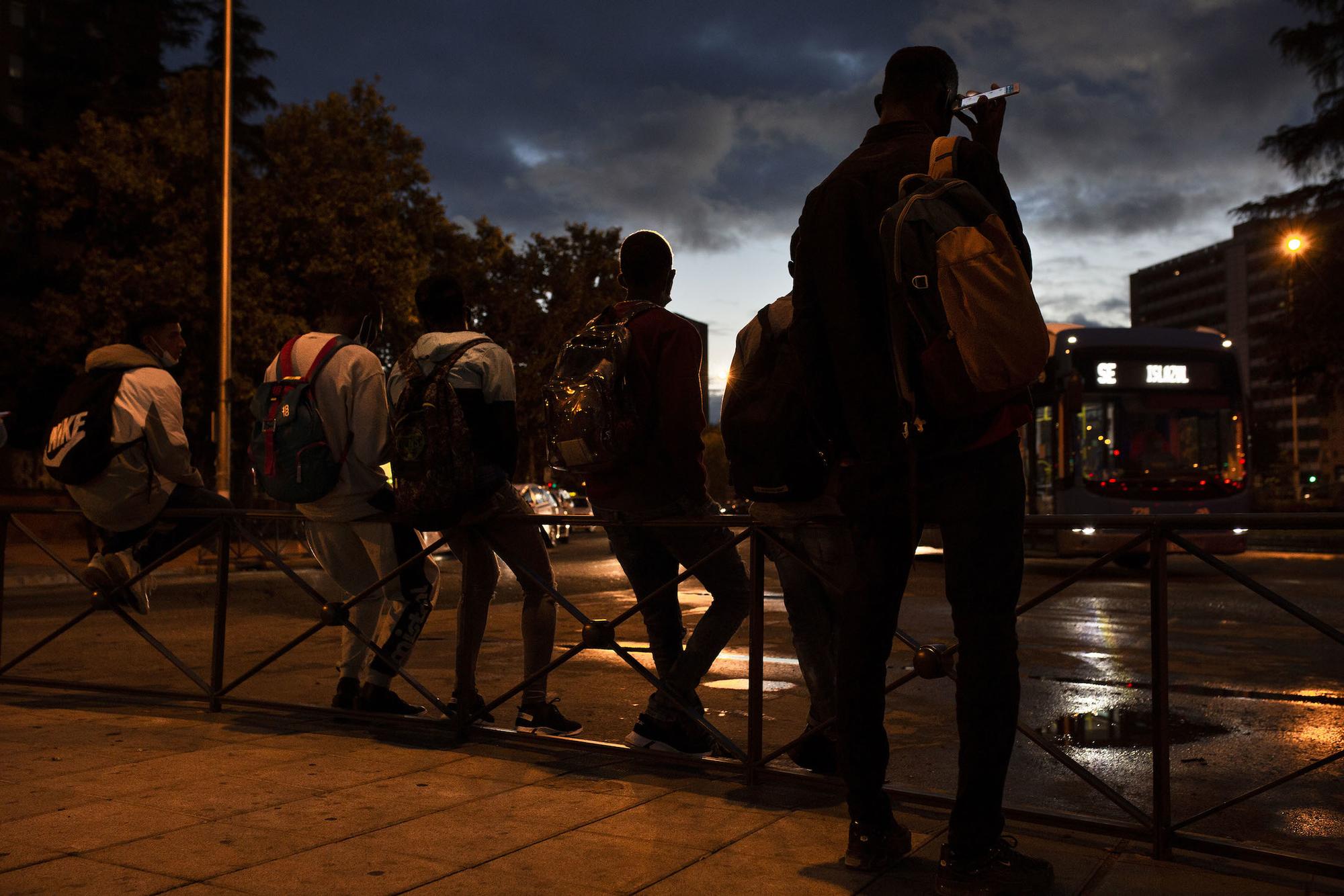 Palza Elíptica jornaleros - 3