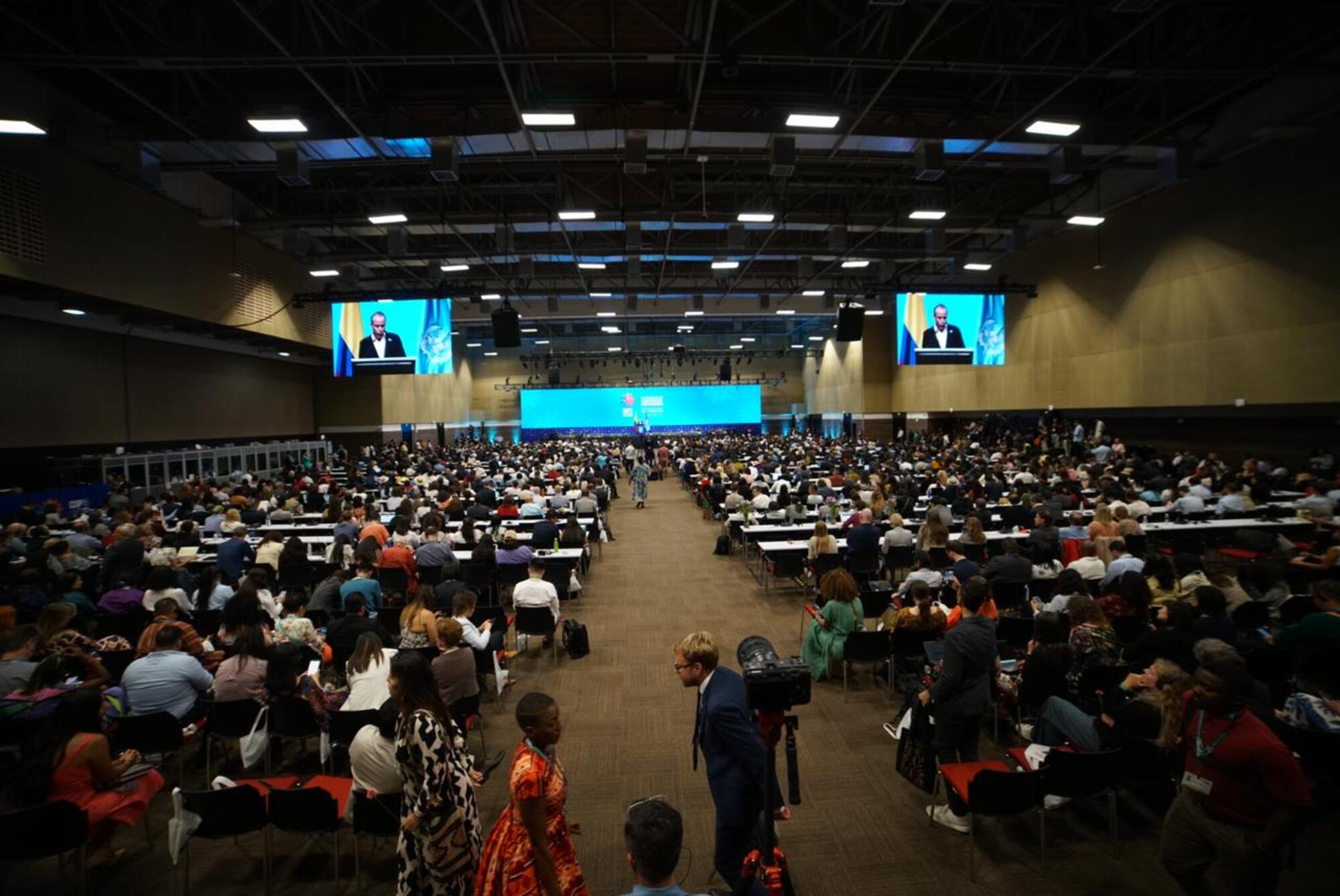 Plenario inaugural de la COP16