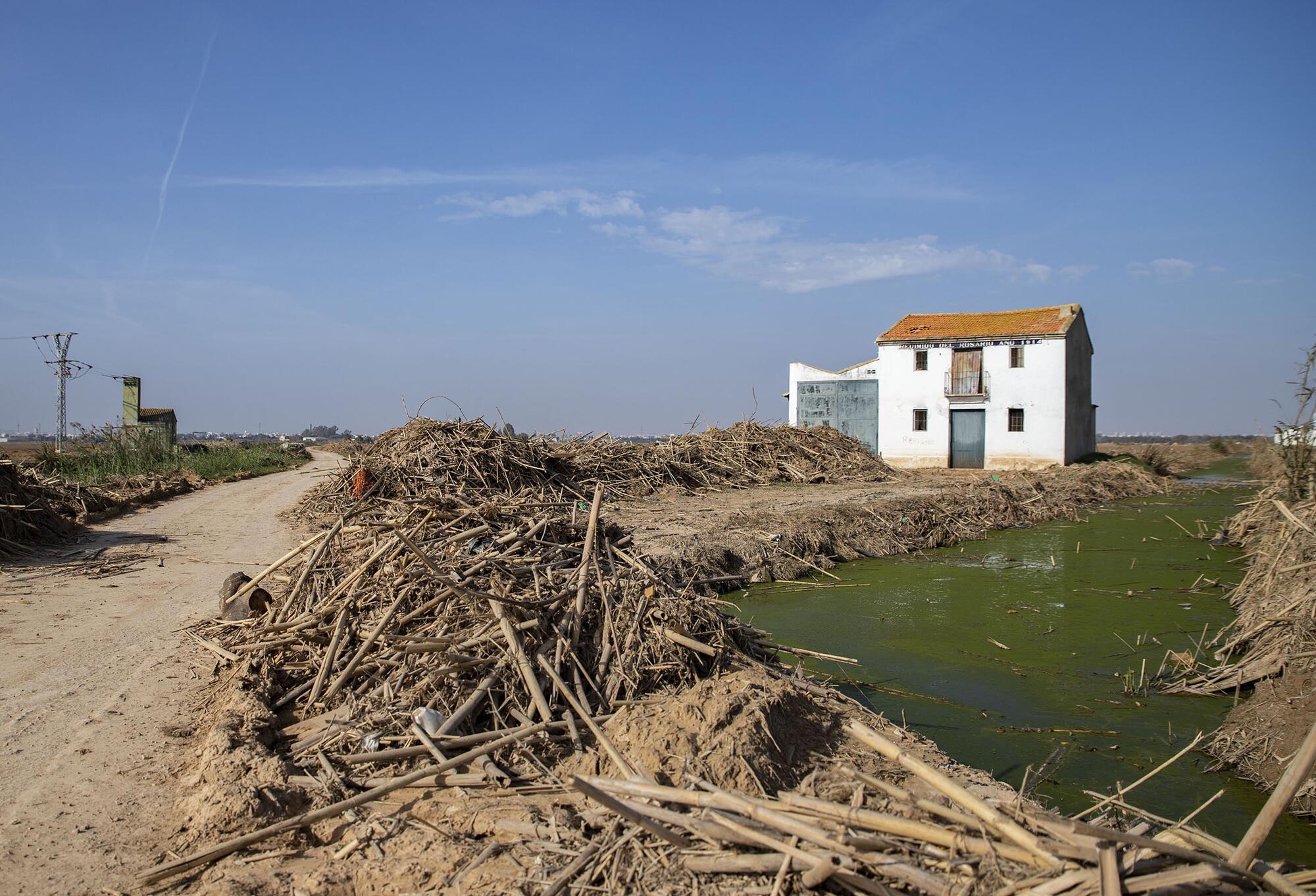 Efectos Dana Albufera - 9