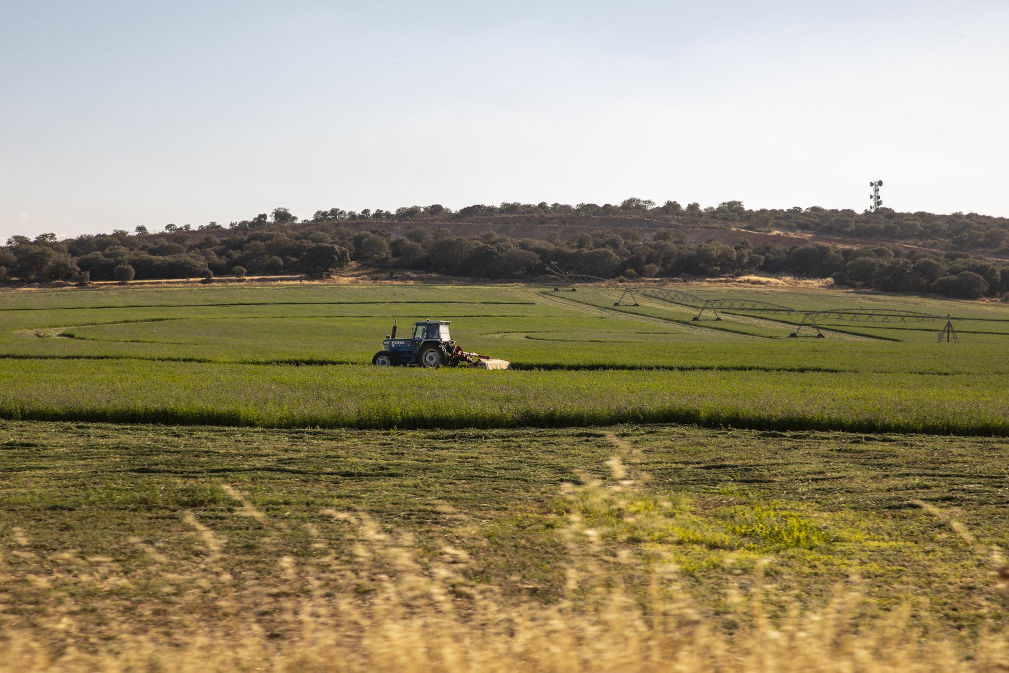 Tractor trabajando en el norte de Zamora